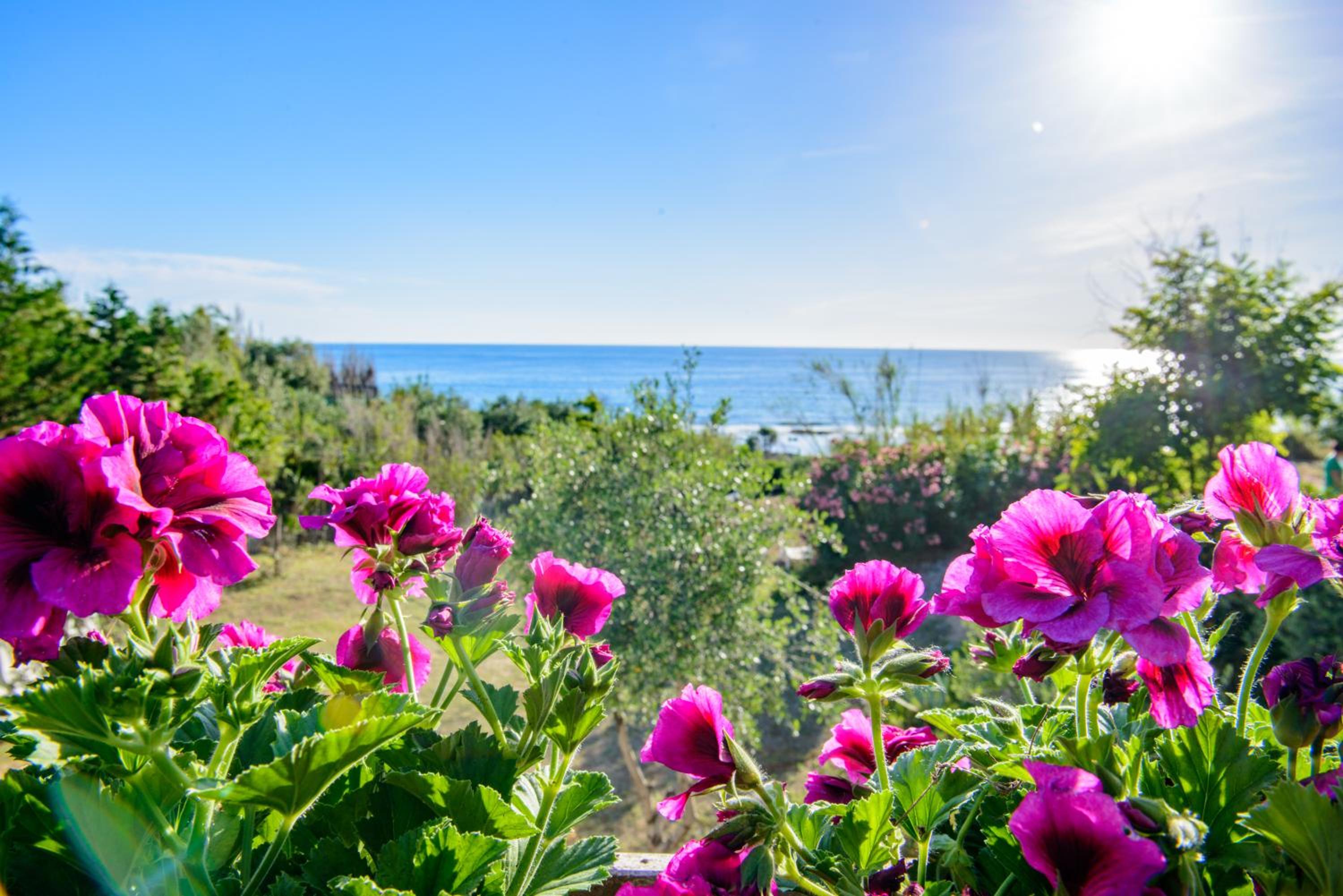 Villa Saline photo 5