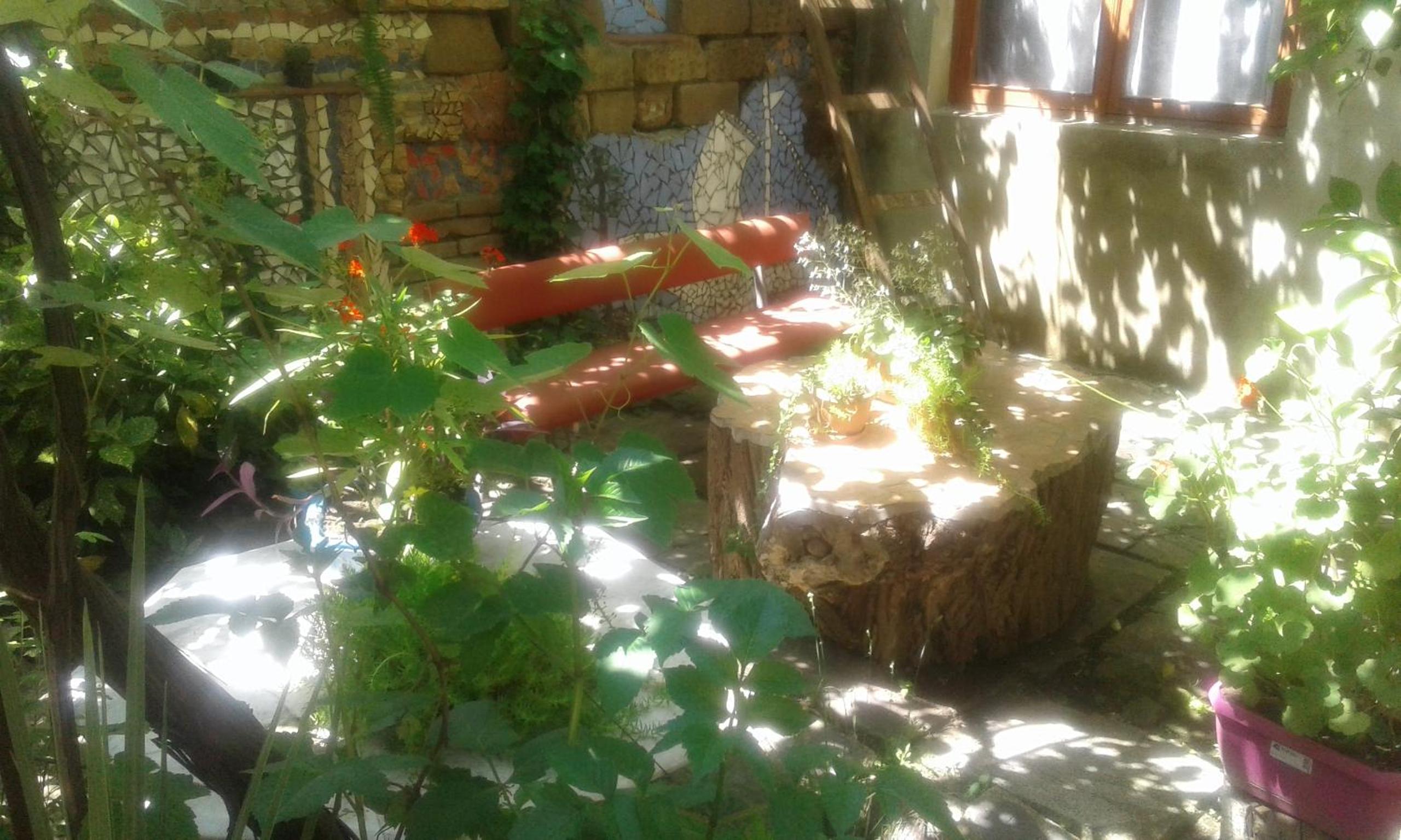 Photo 7