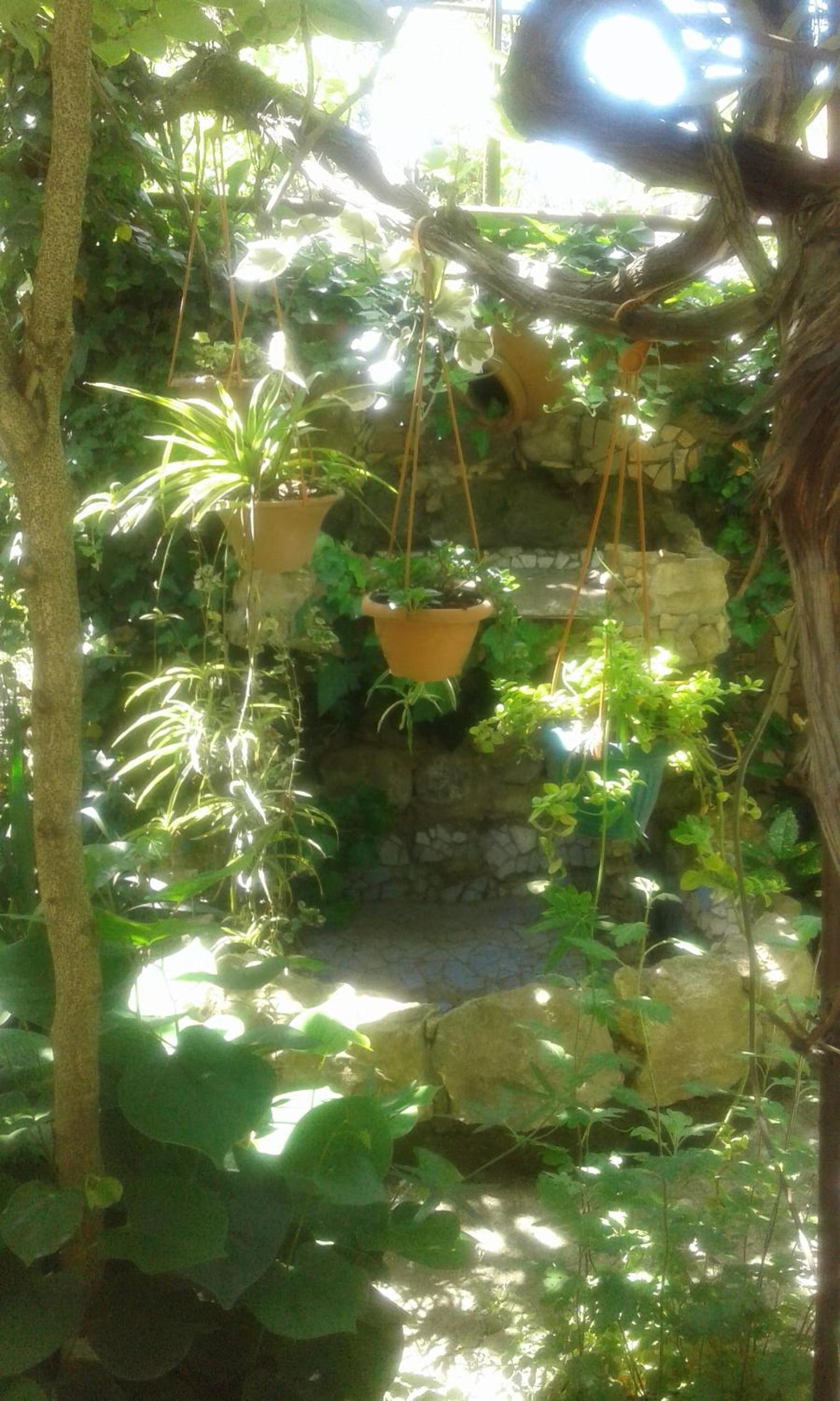 Photo 14