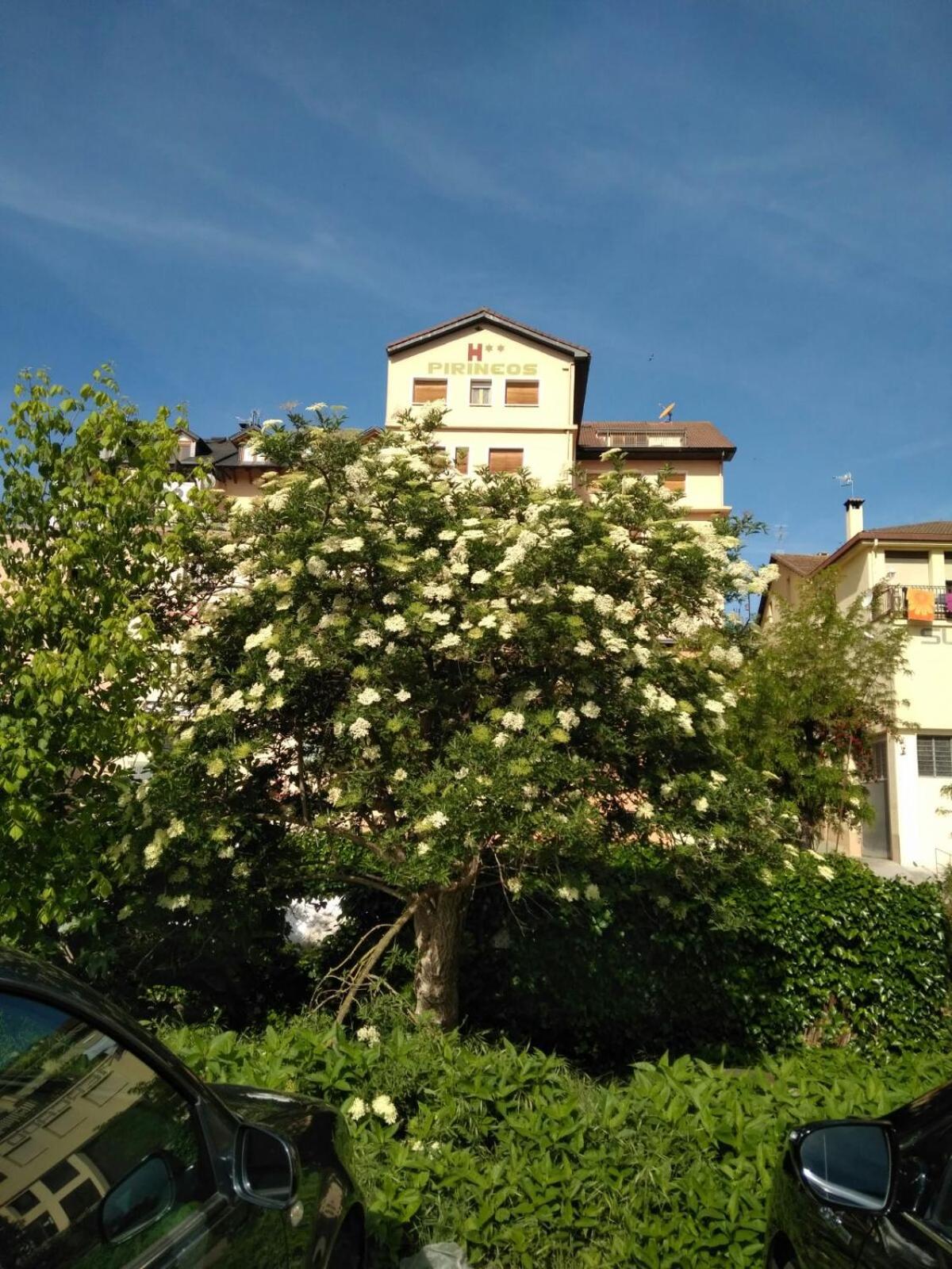 Photo 28
