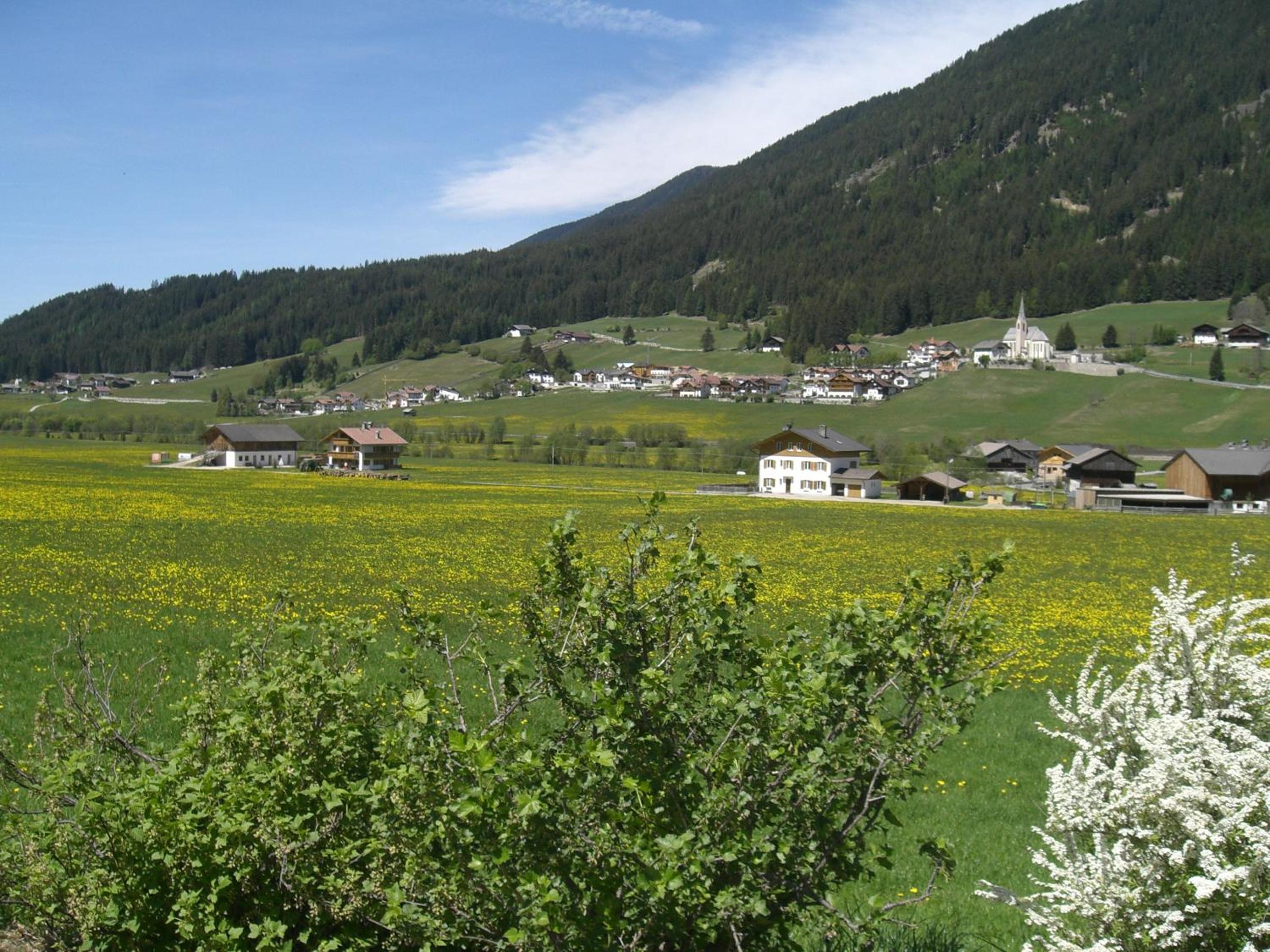 Photo 37