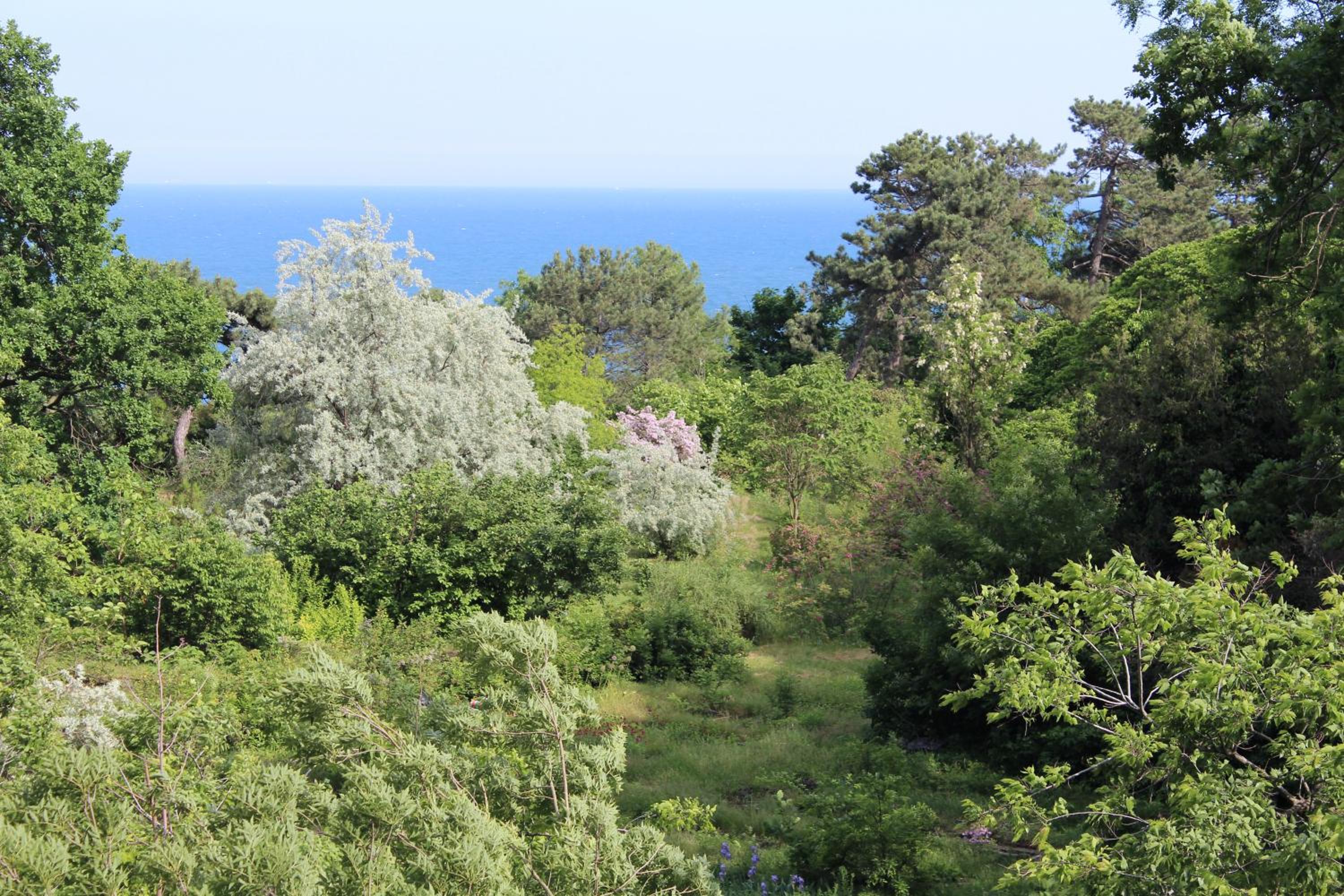 Photo 43