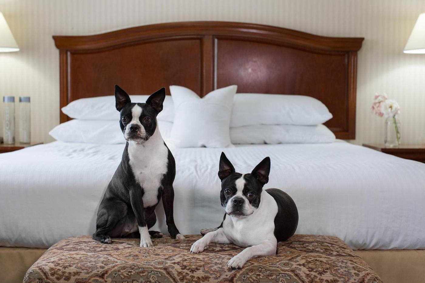 Medford Vacations - Rogue Regency Inn Suites - Property Image 21
