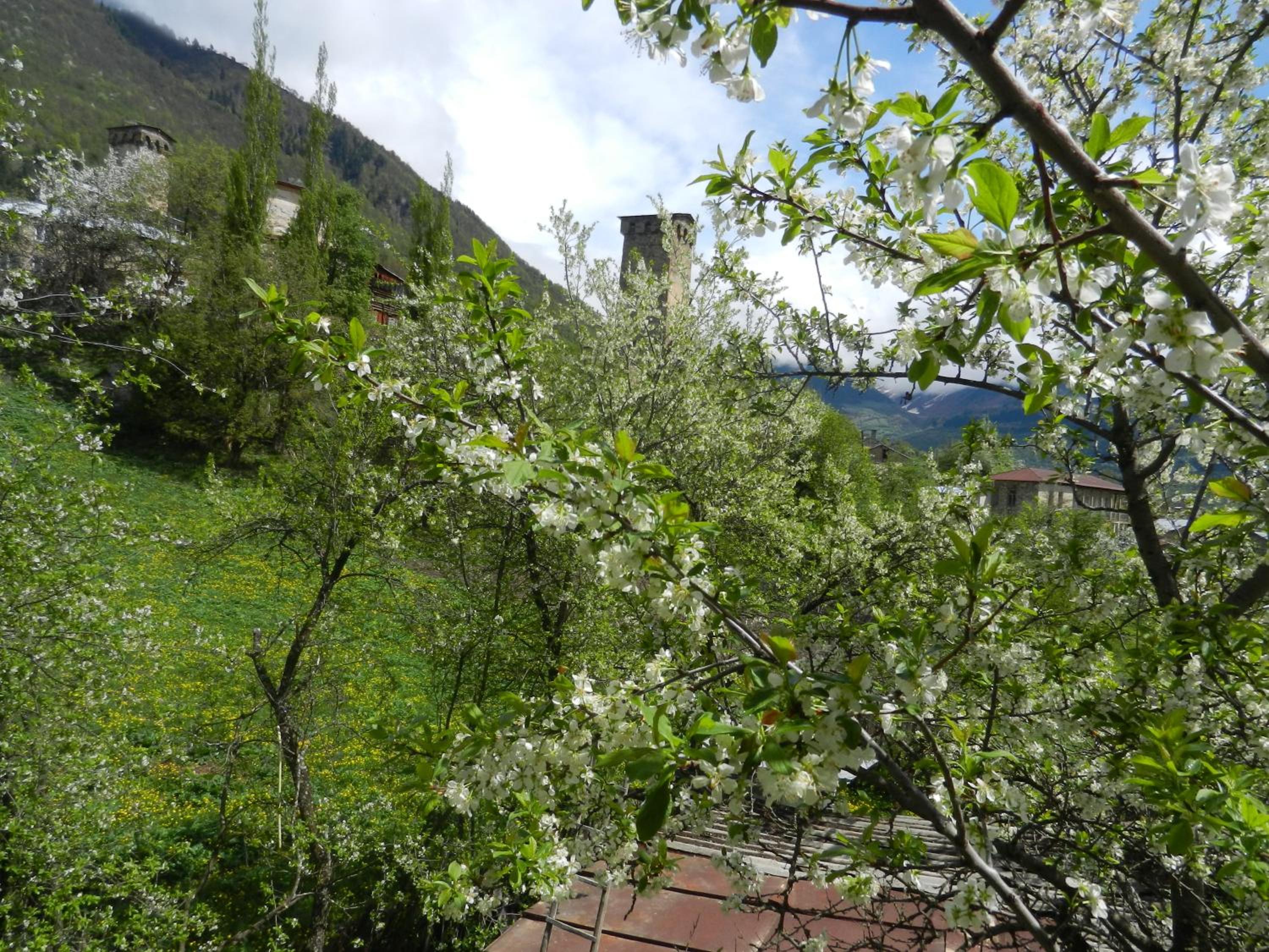 Photo 47
