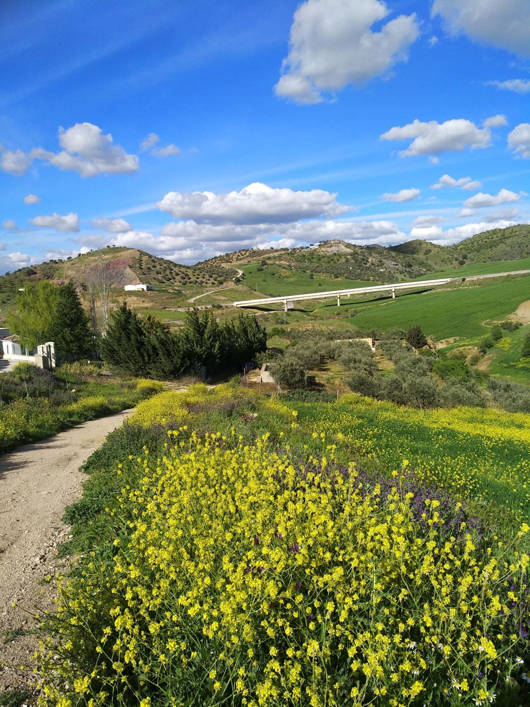 El Patio Andalu - Property Image 20