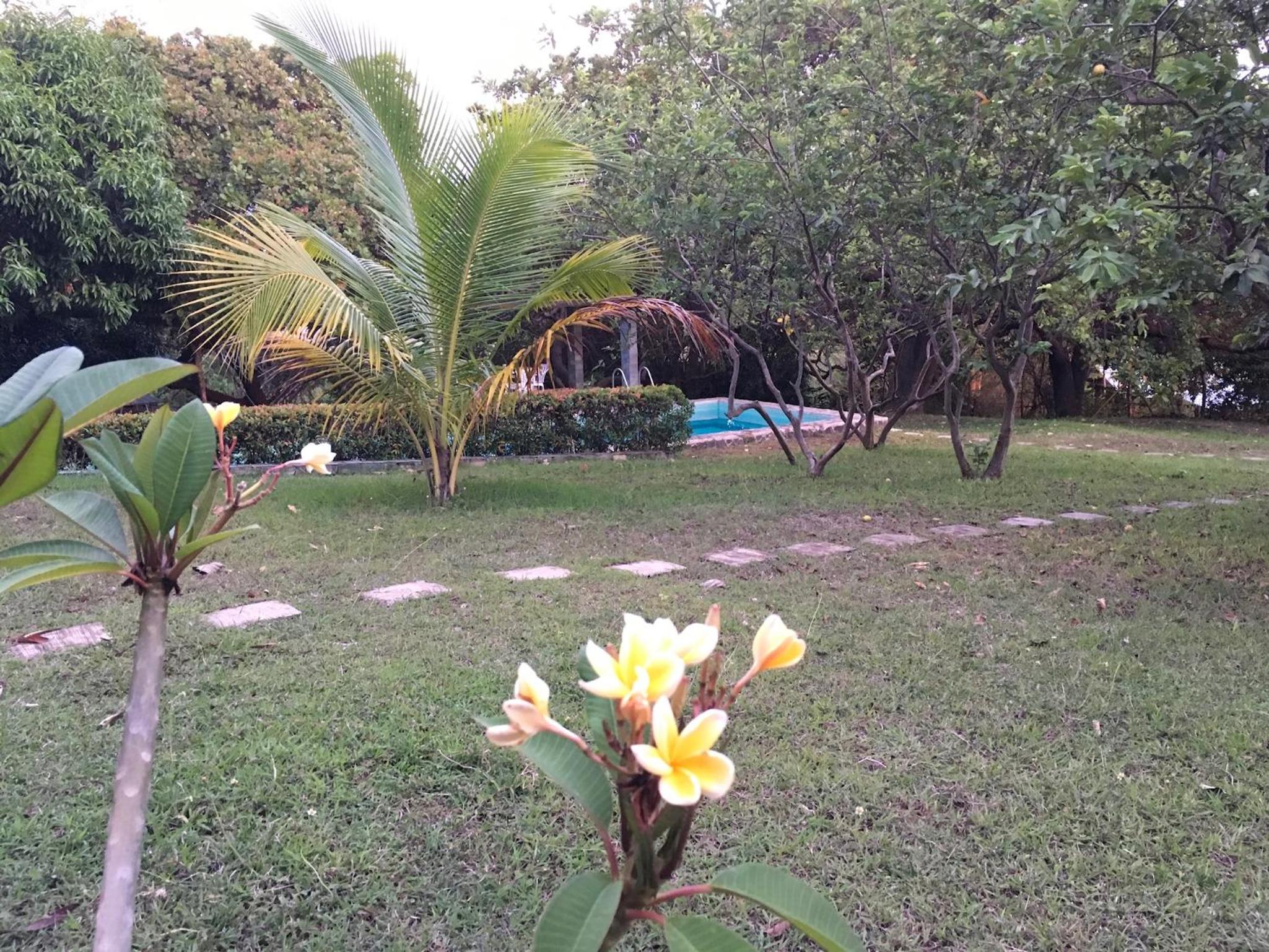 Photo 21