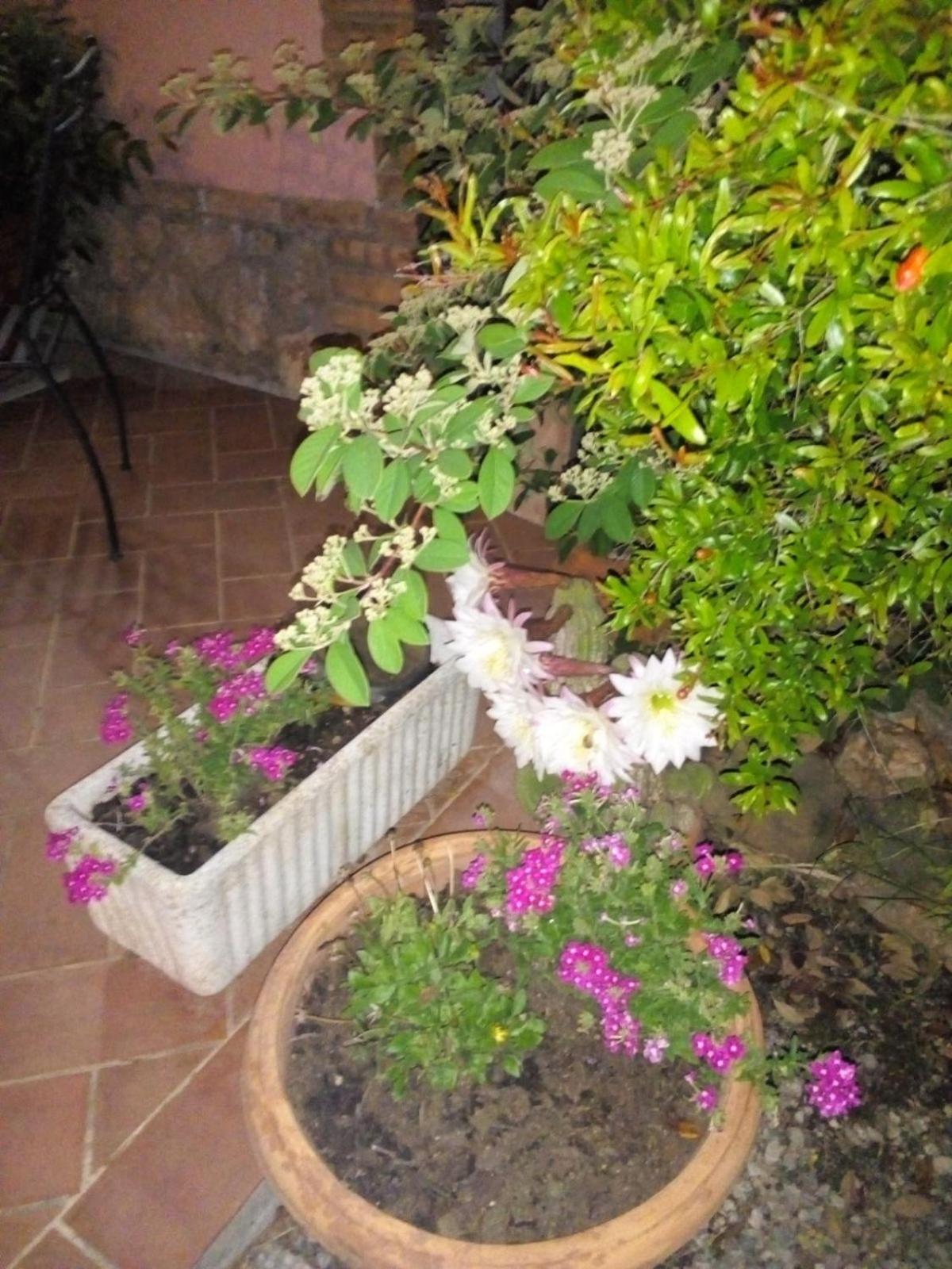 Agriturismo Da Paola