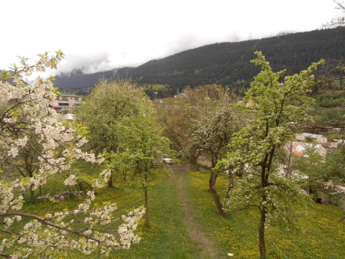 Photo 25