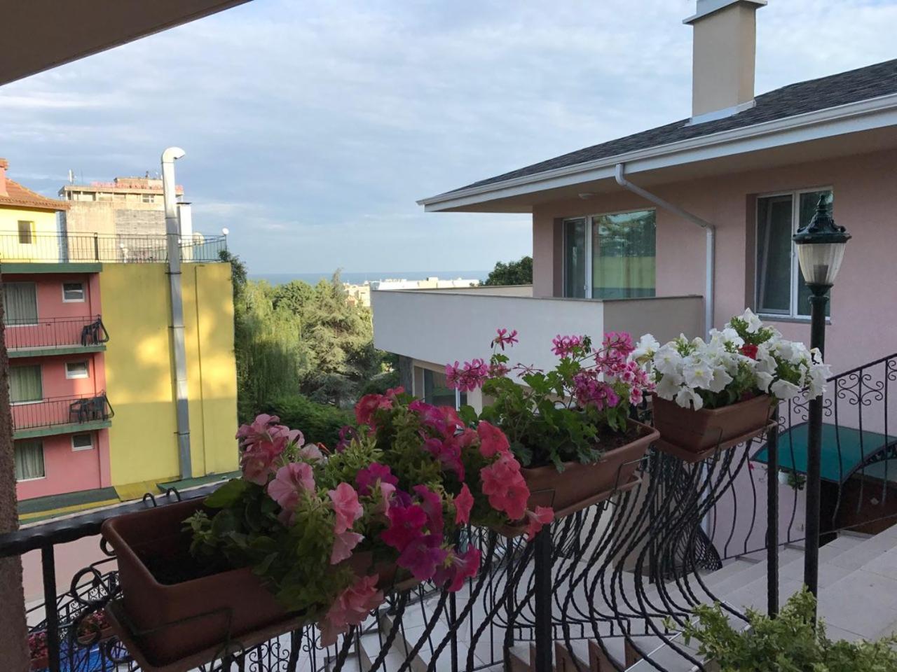62A Doctor Luben Lazarov Street view 5