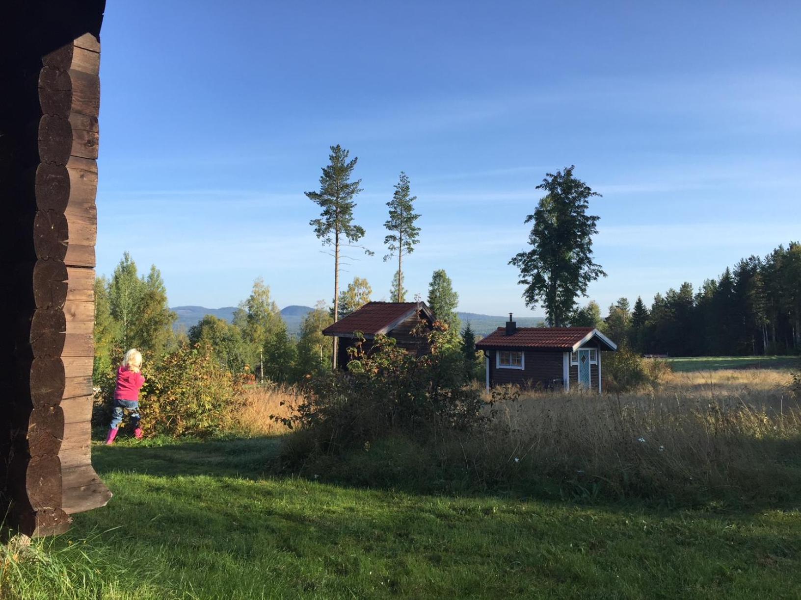 Photo 31