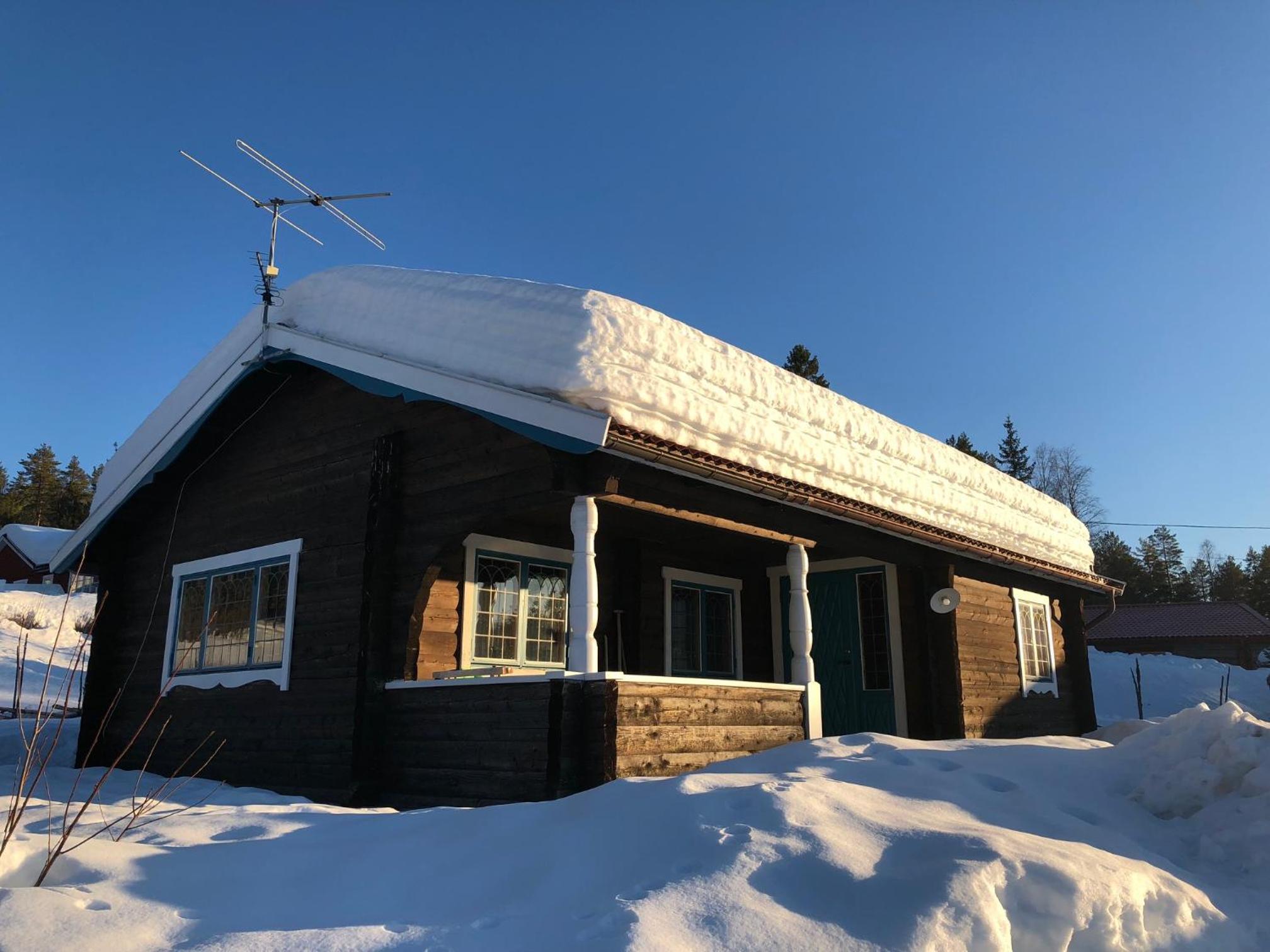 Hotel Vasa Ski Lodge - Image 1