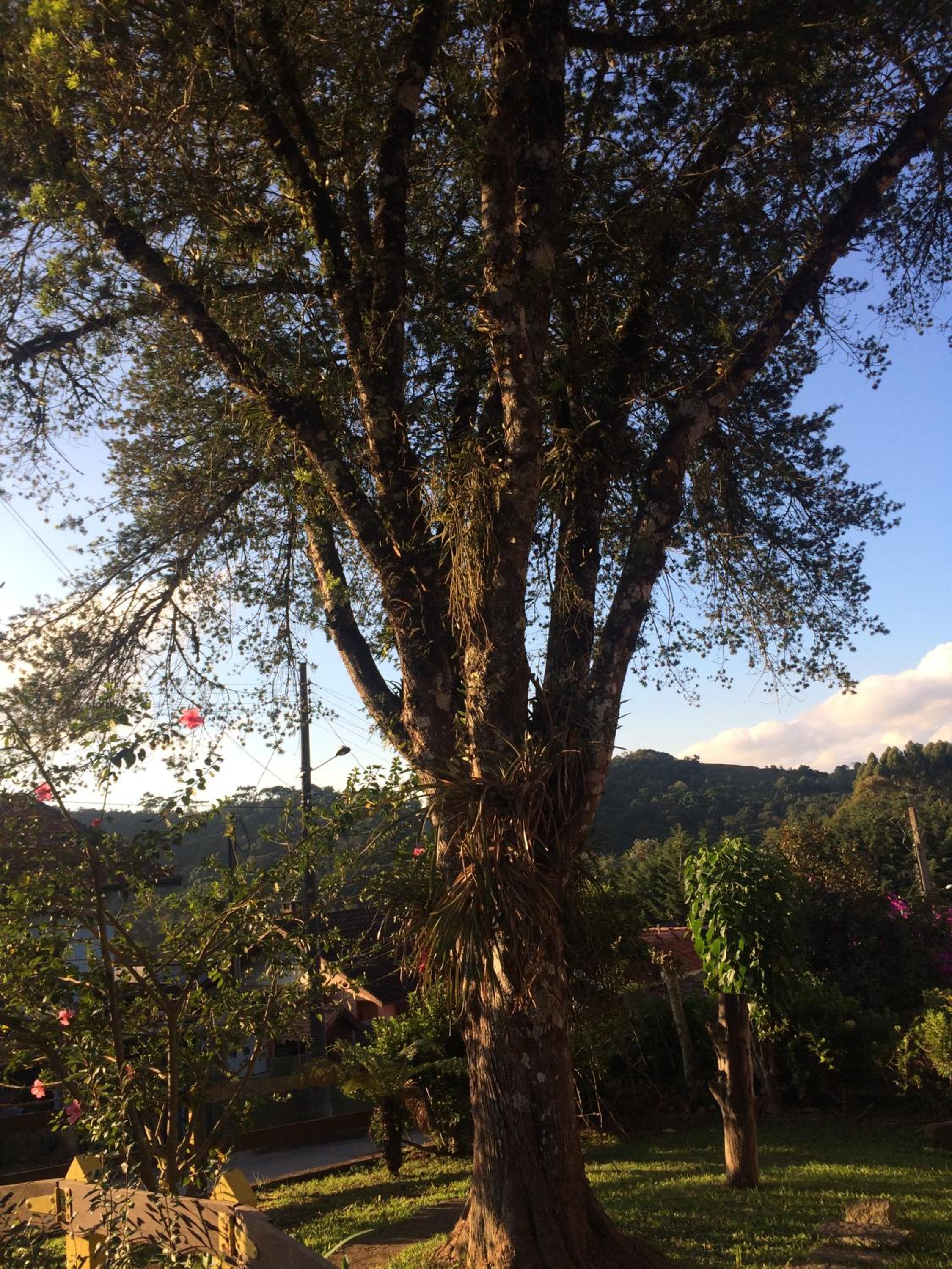 Chales Encanto Suíço en Monte Verde