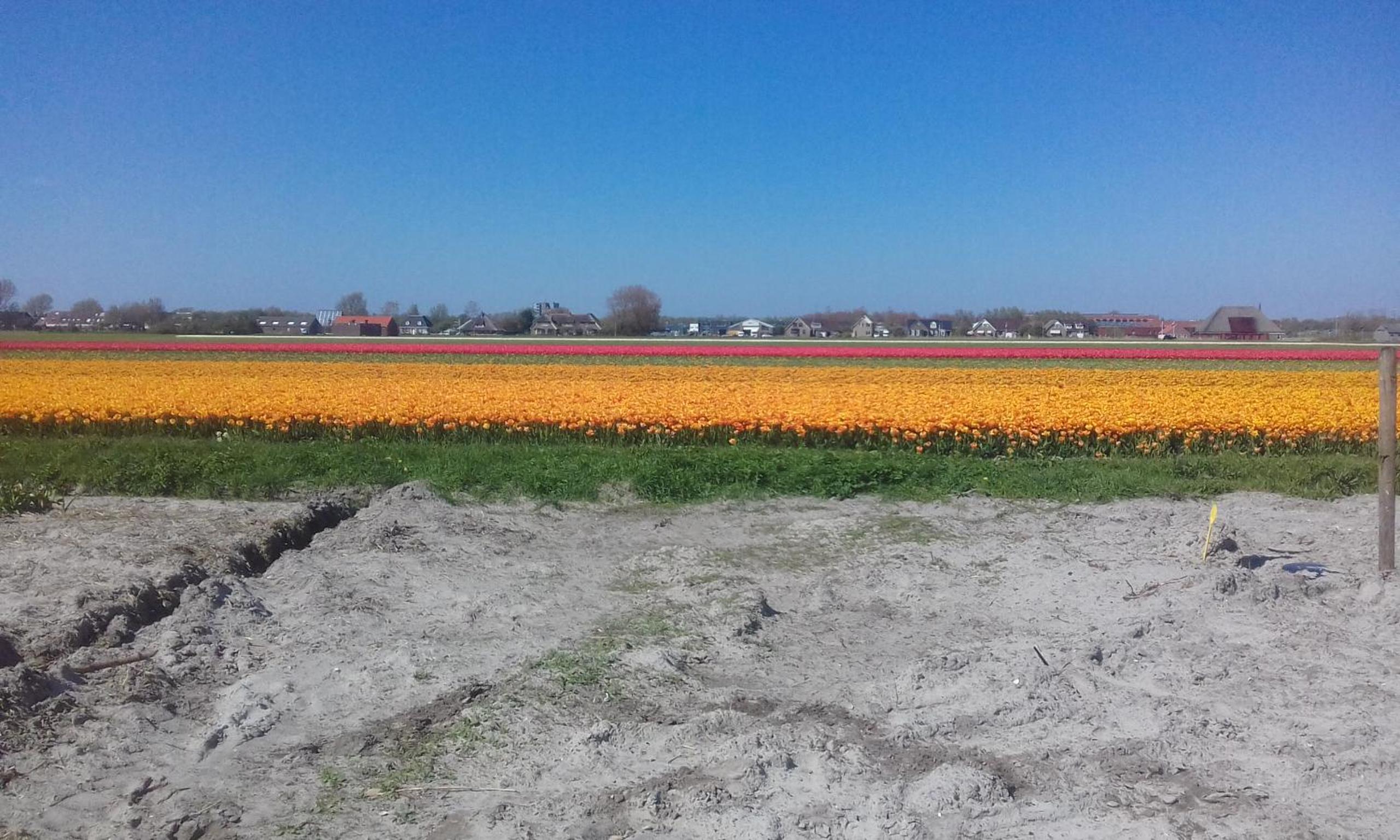 B&B boerderij rust, in pipowagens!, photo 23