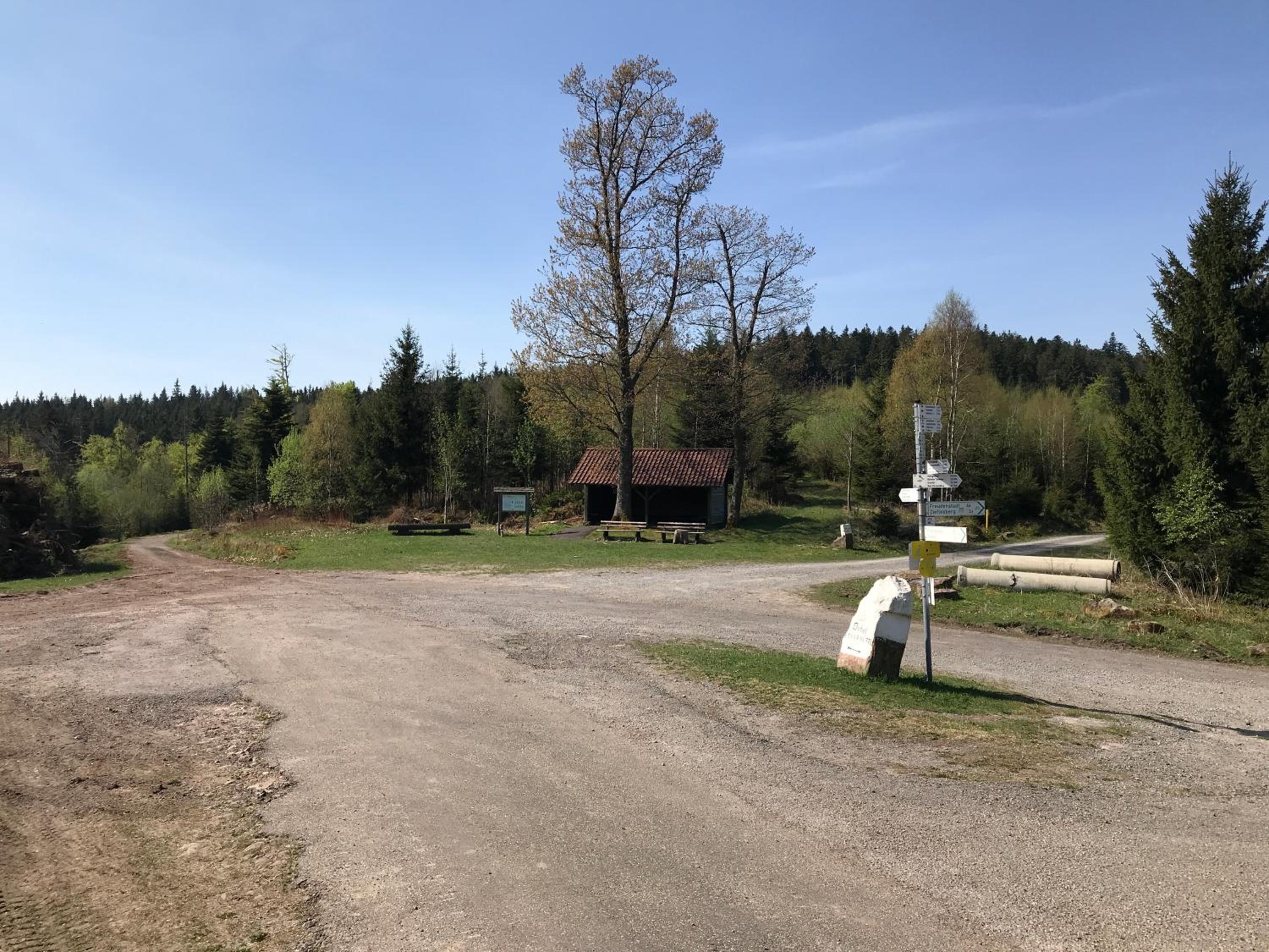 Photo 31