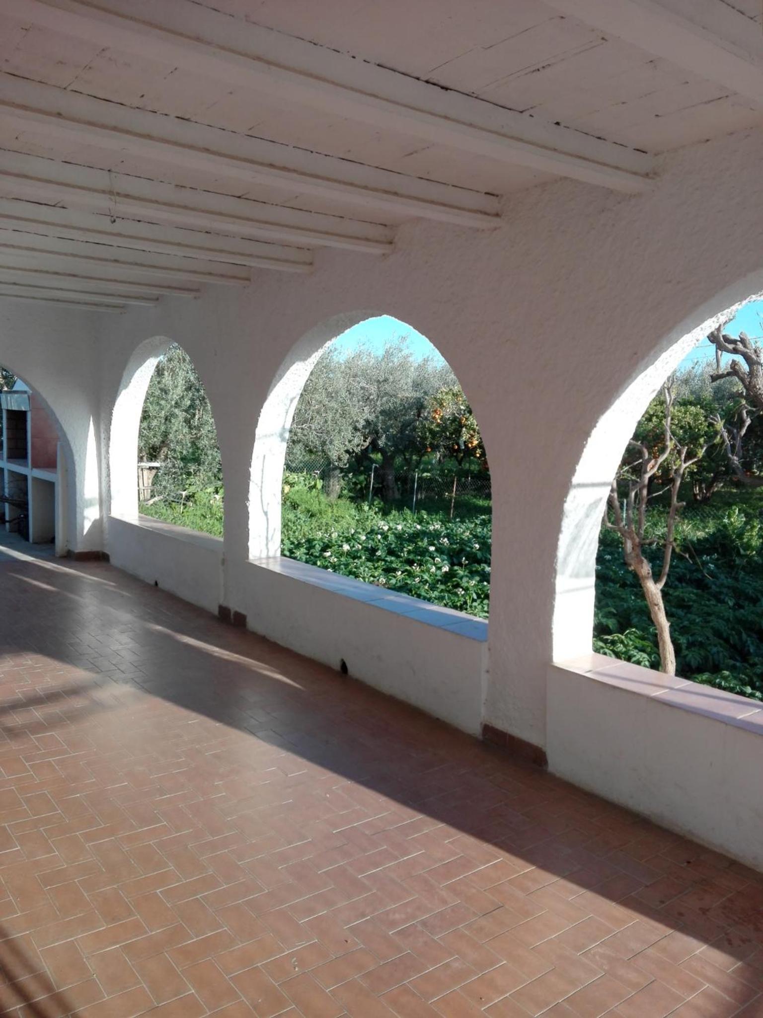 El cortijo de la abuela view 4