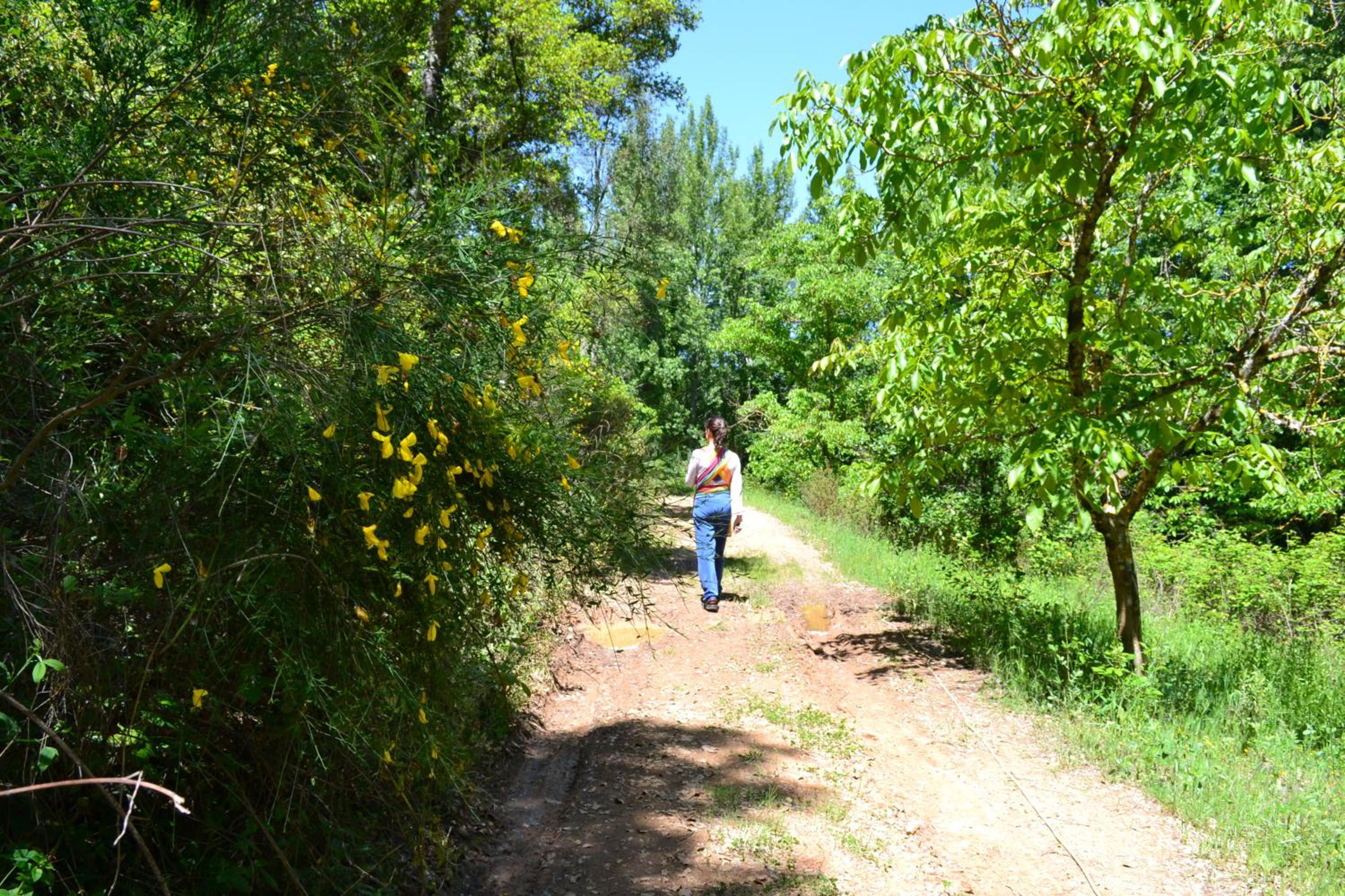 Photo 22