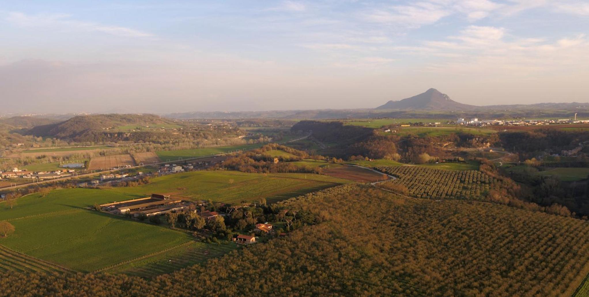 Fattoria Lucciano