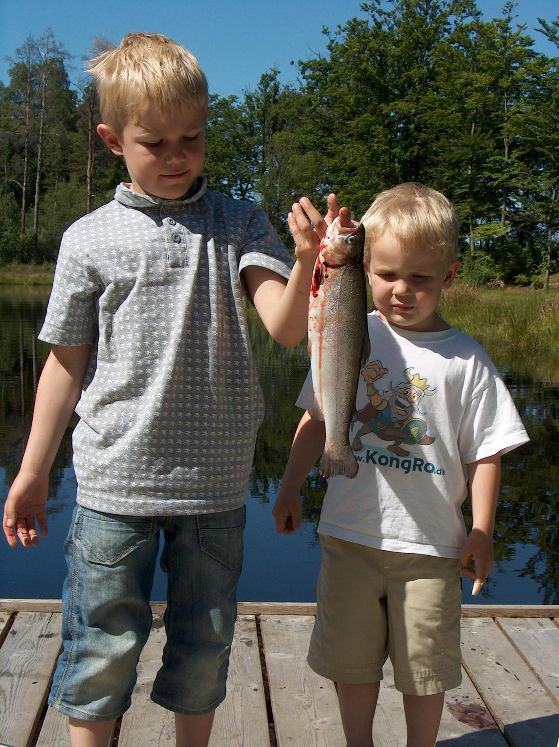 Torne Camping - Kano & Fiskecamp