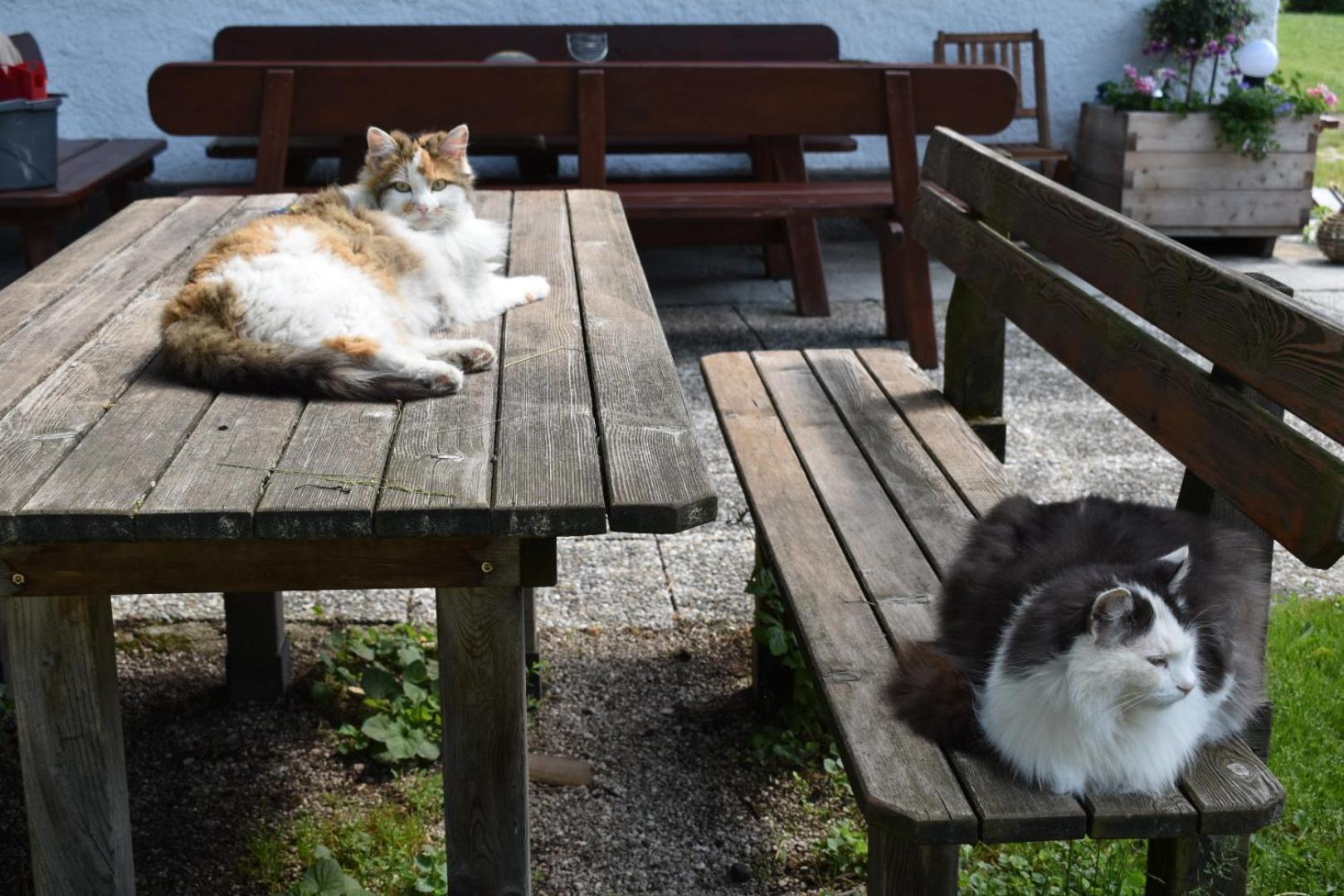 Ferienwohnung Grubinger