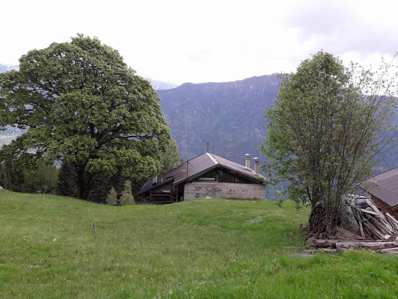 Photo 22