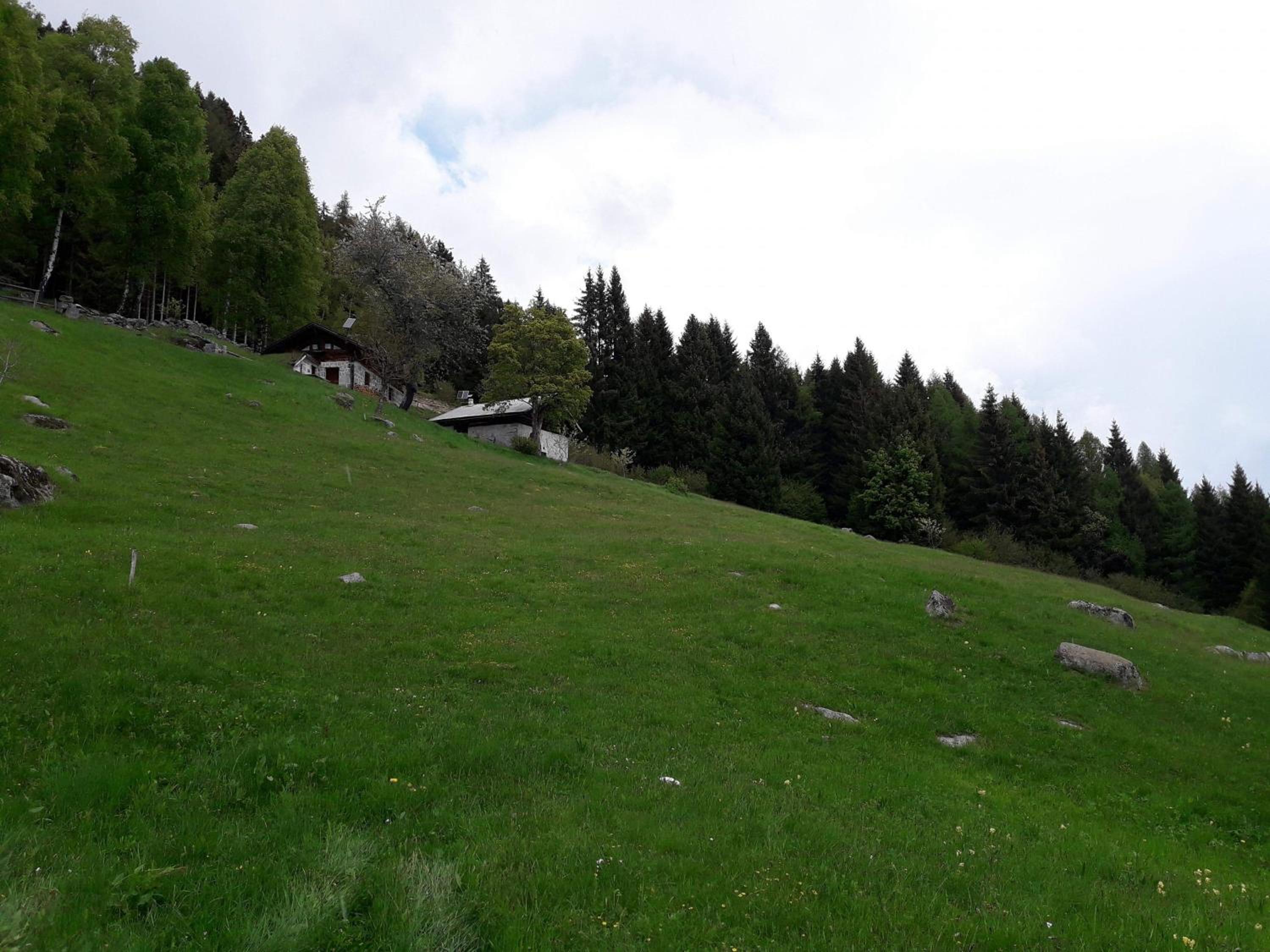 Photo 24