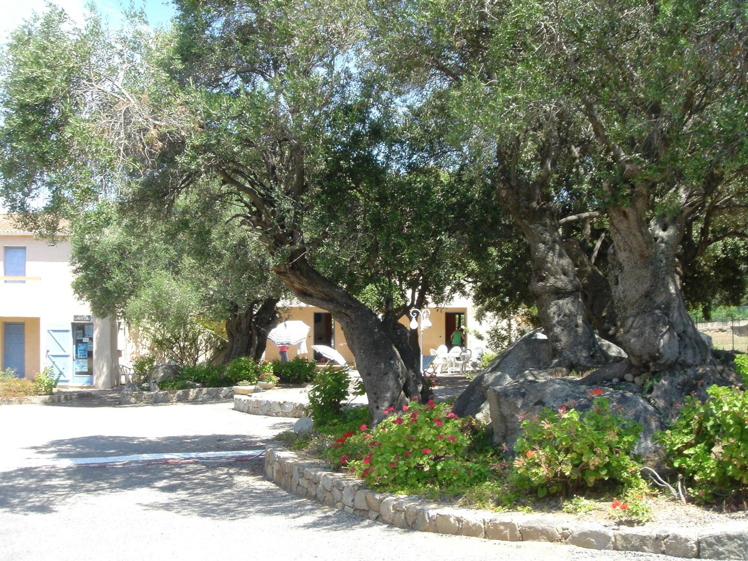 Photo 47