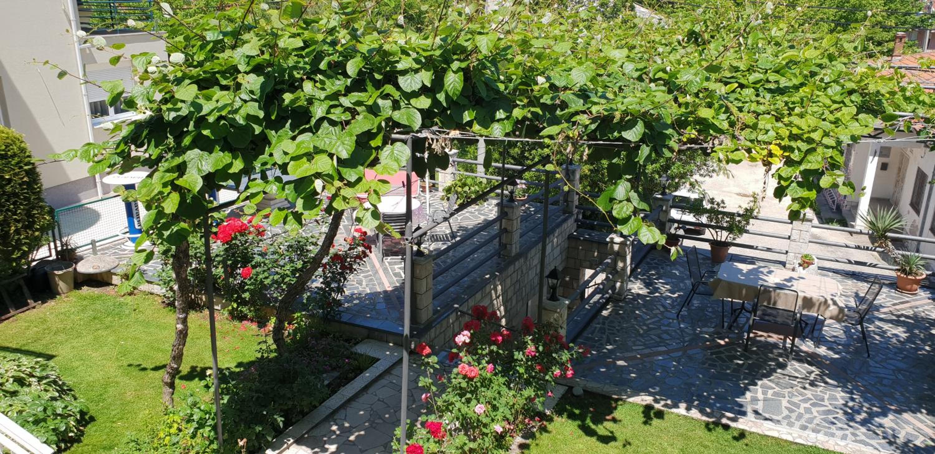 Accommodation Vesa