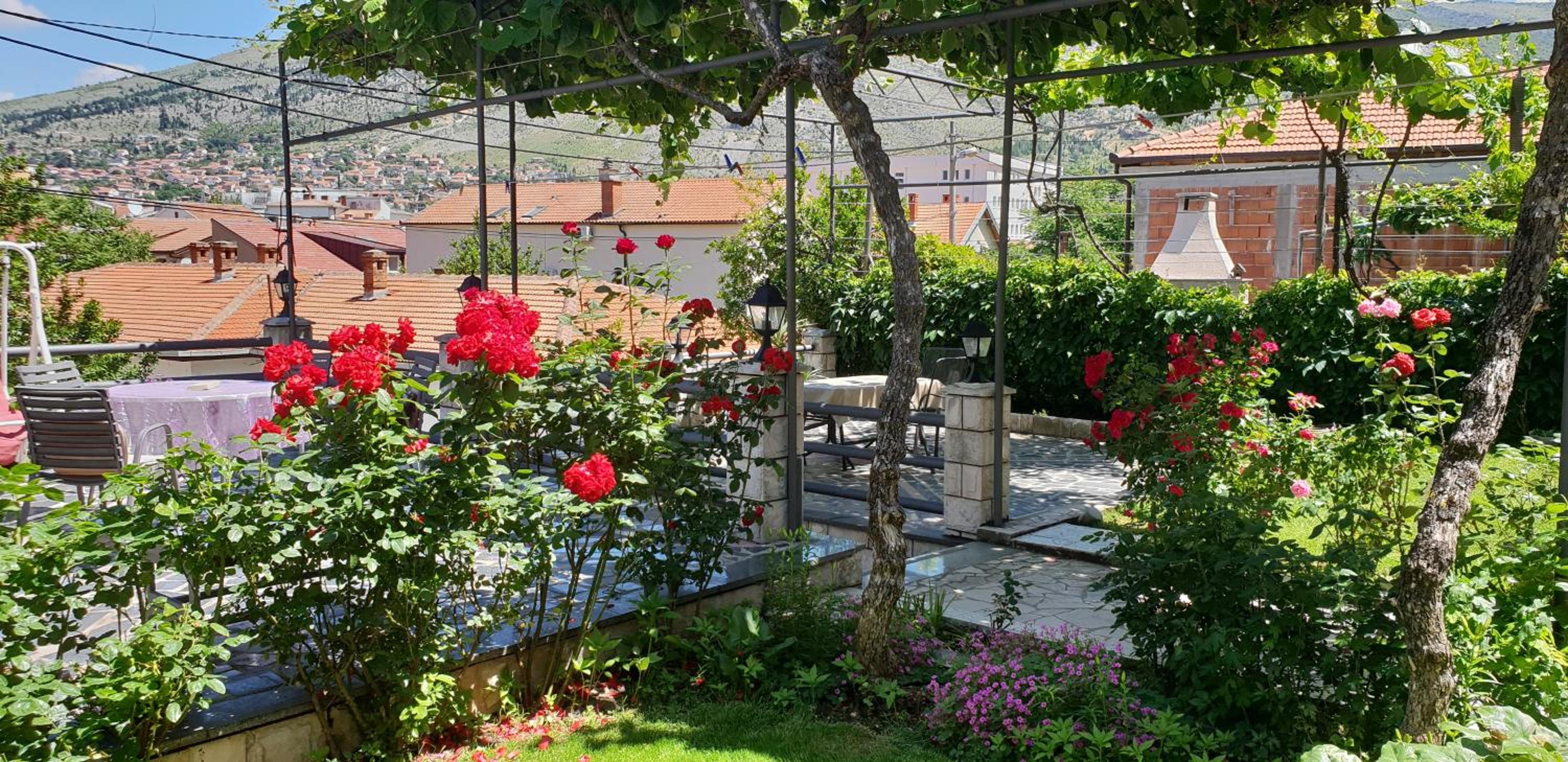 Accommodation Vesa