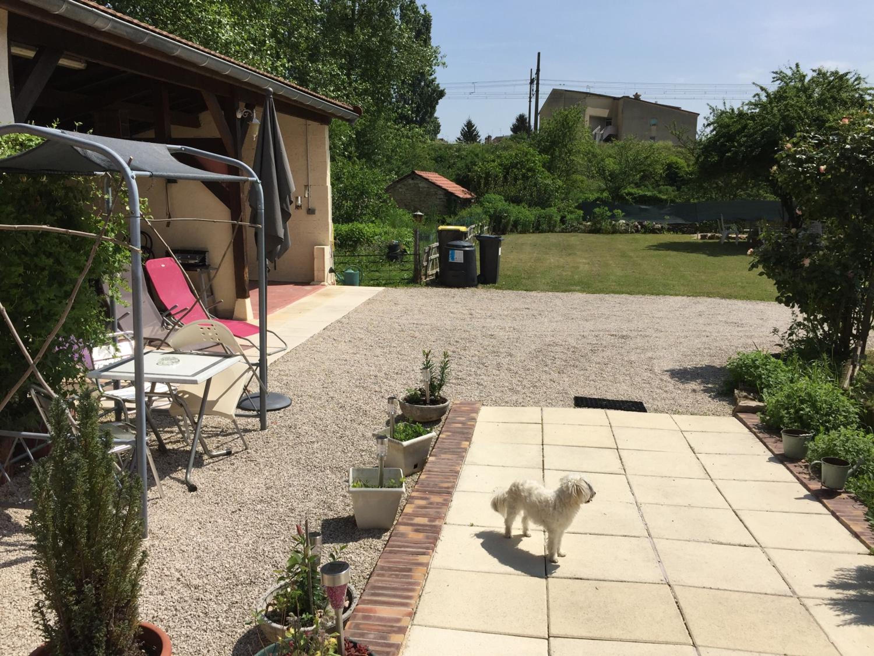 Photo 12