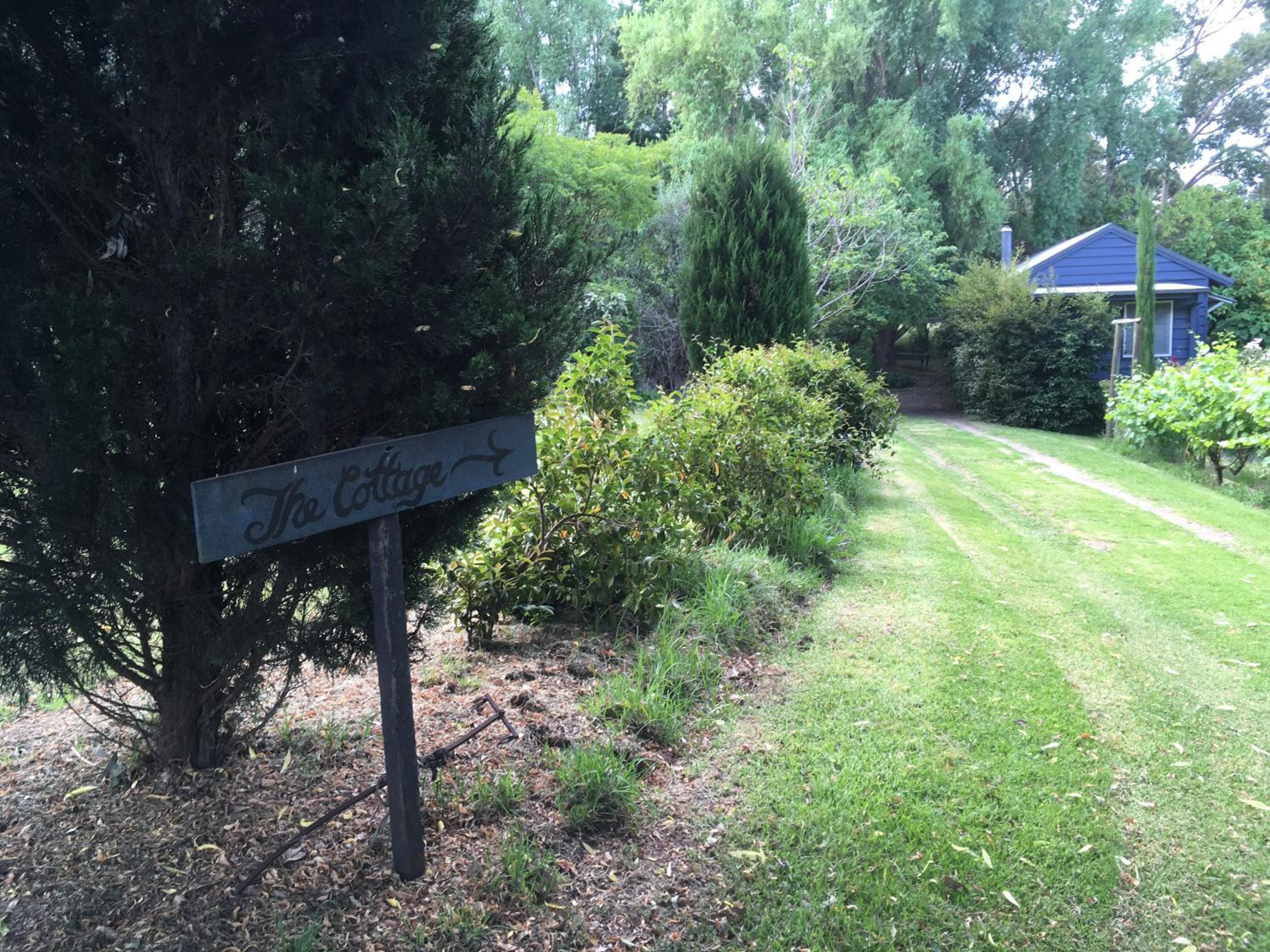 Photo 19