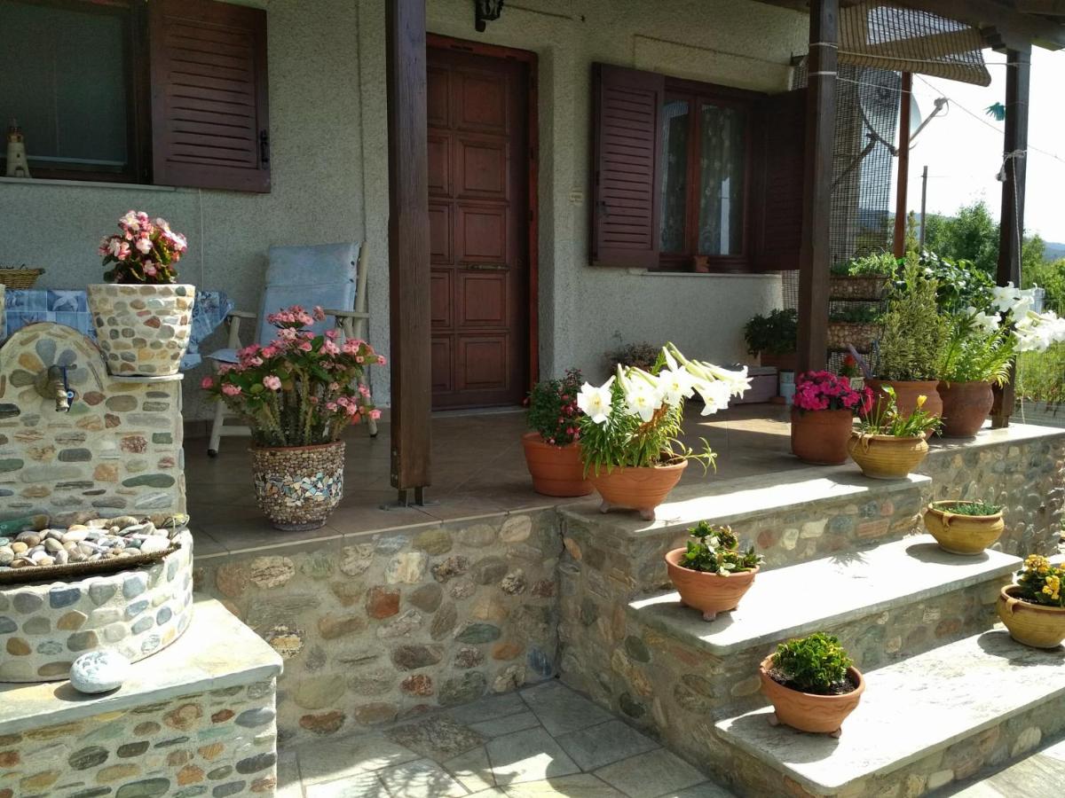 Photo 17