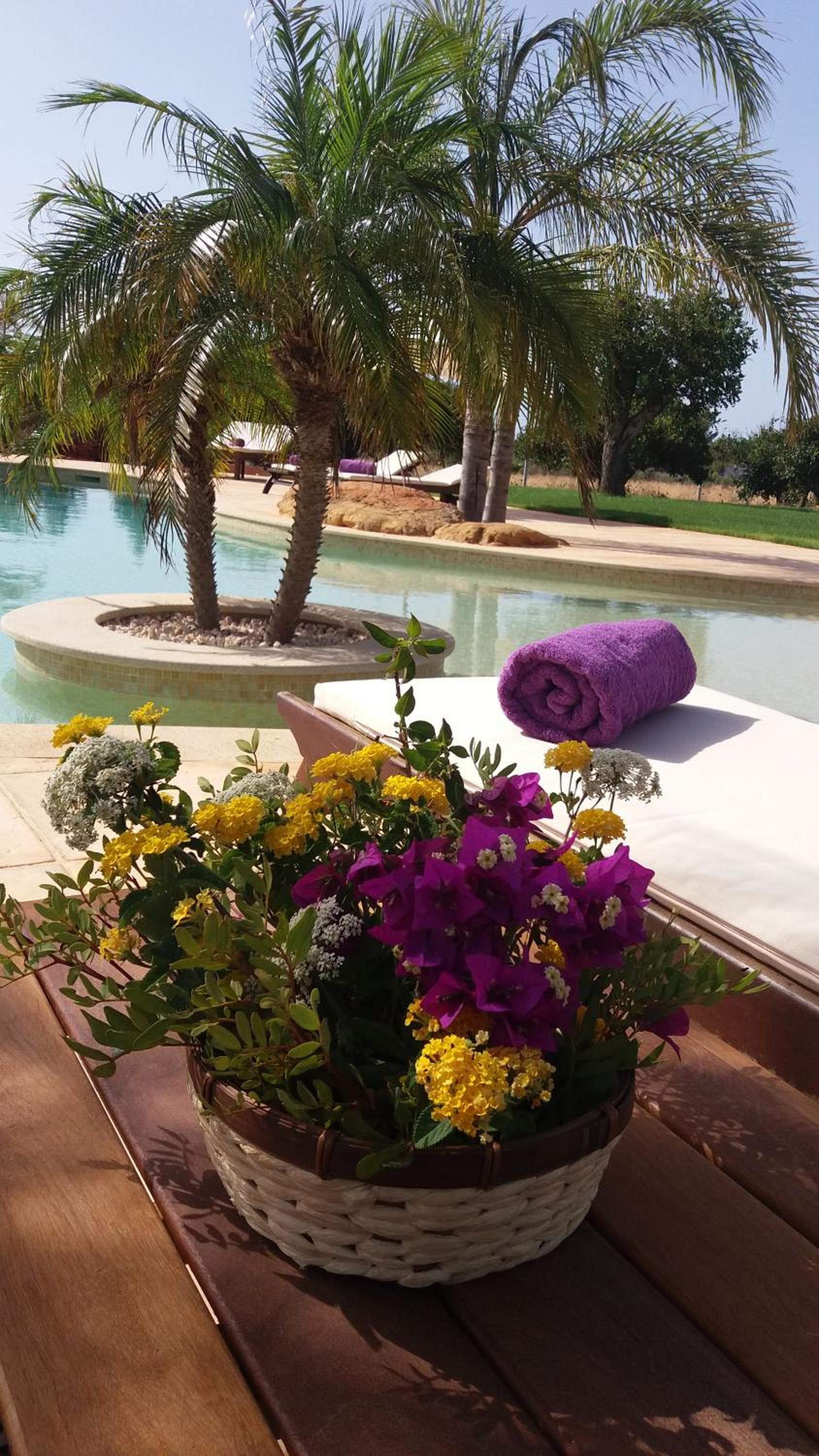 Villa Can Cosmi view 4