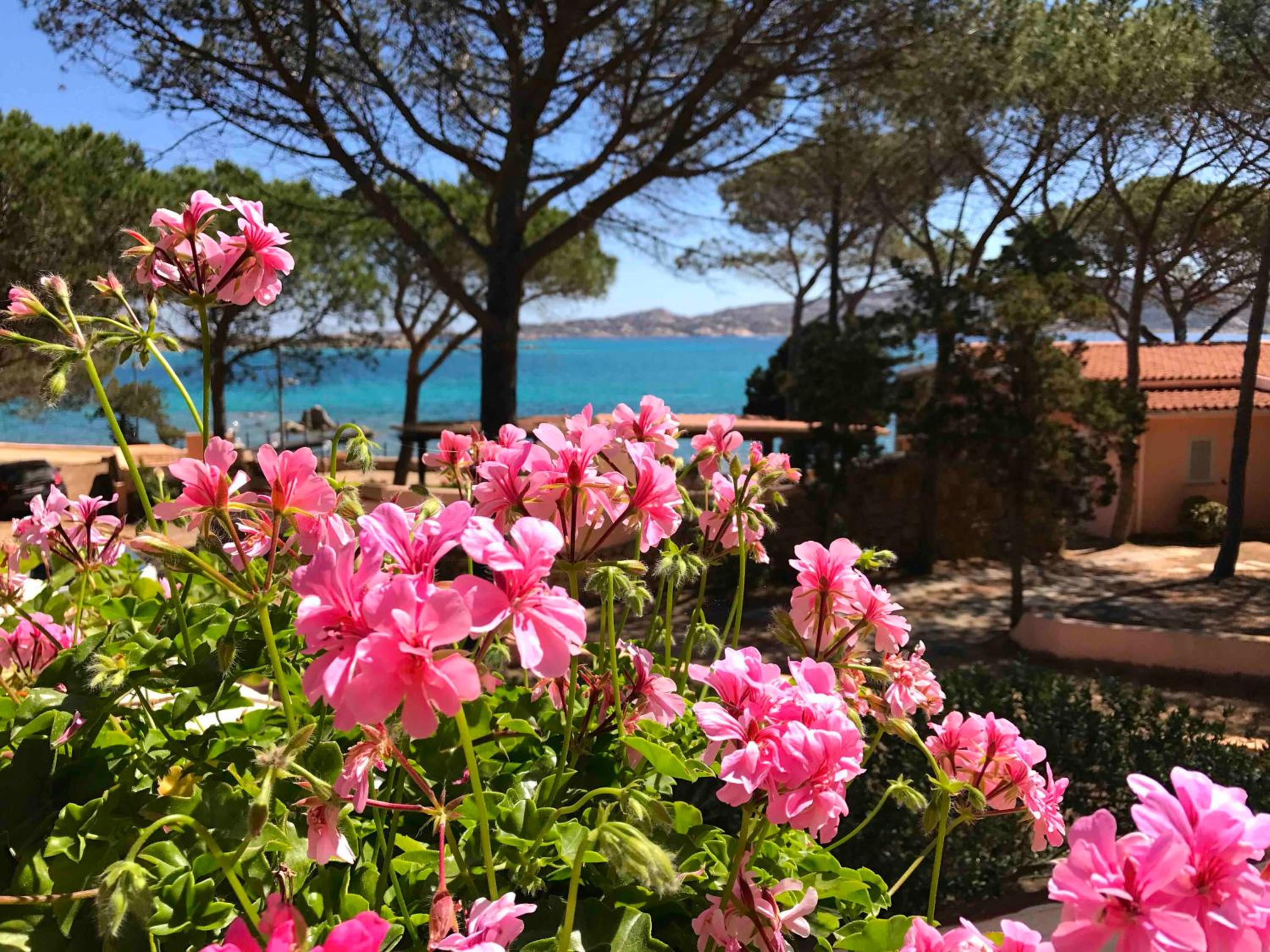 Villa Maddalena - Giardinelli