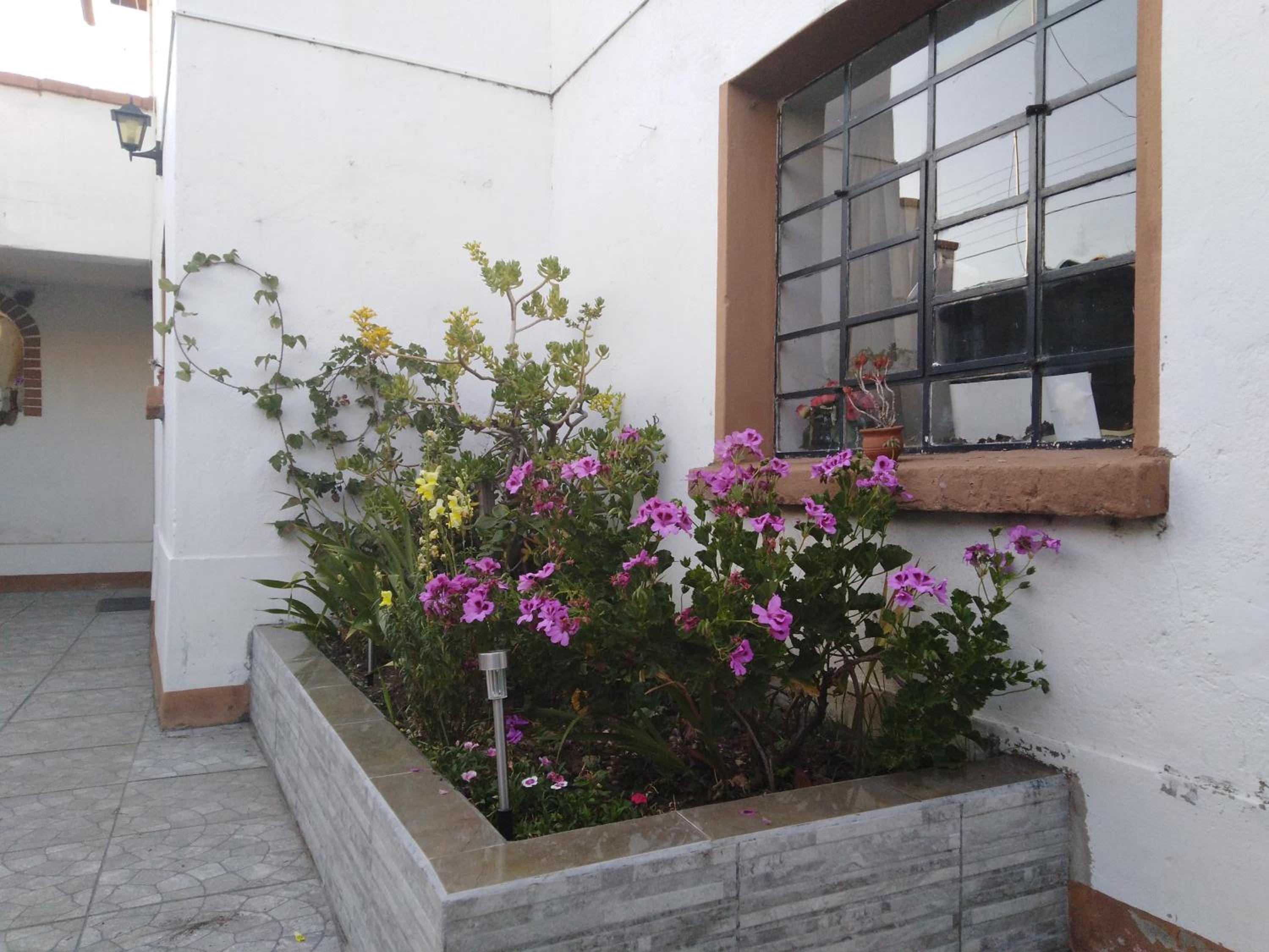 Photo 40