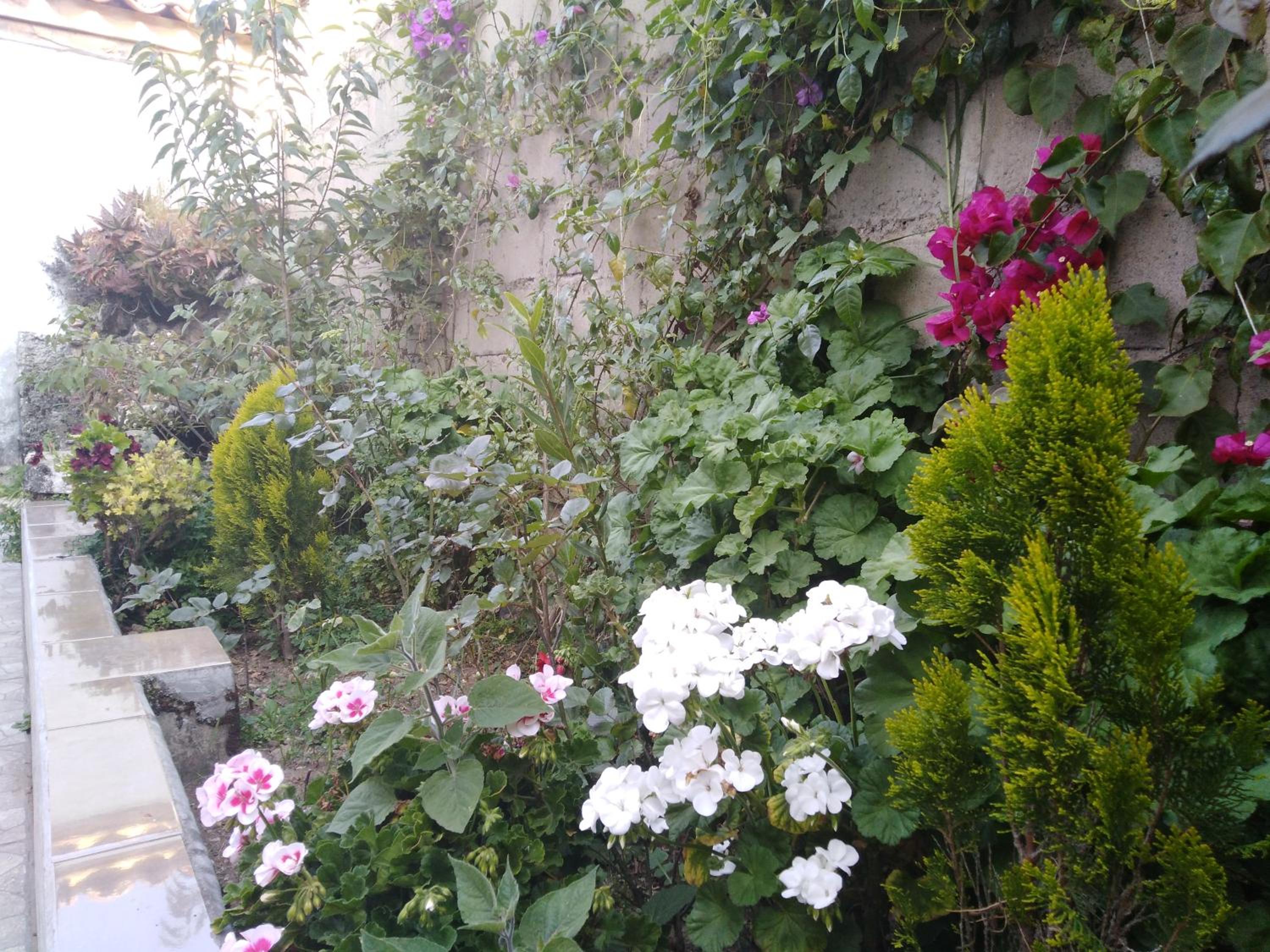 Photo 49