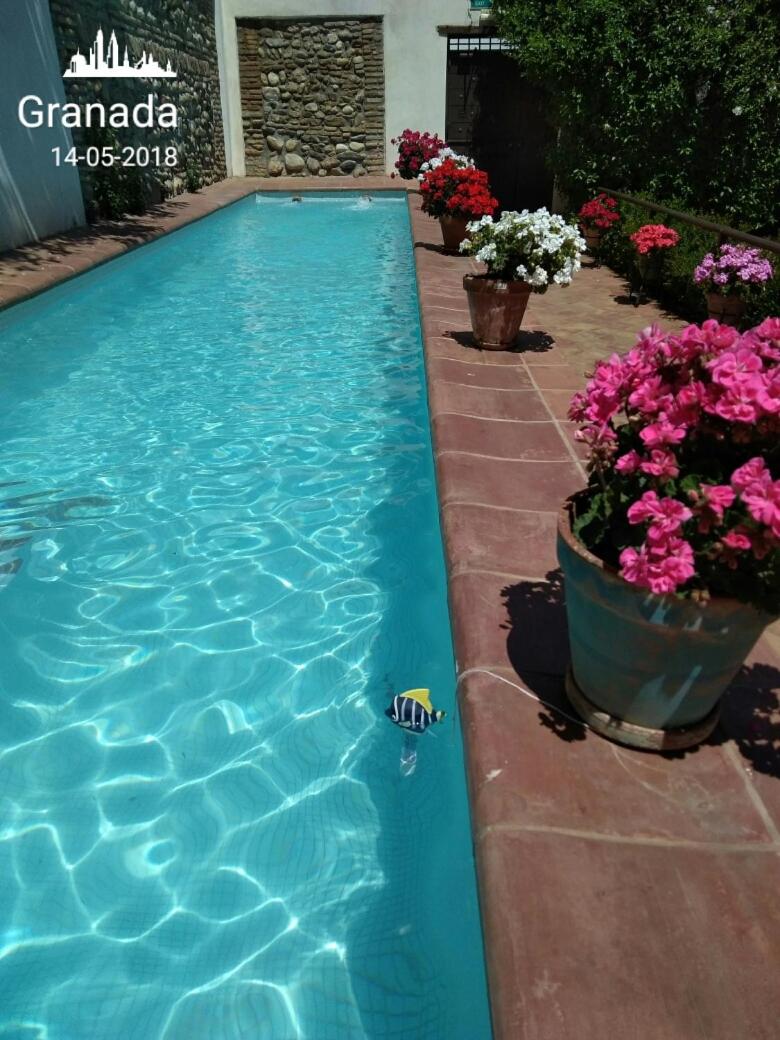 Photo 21