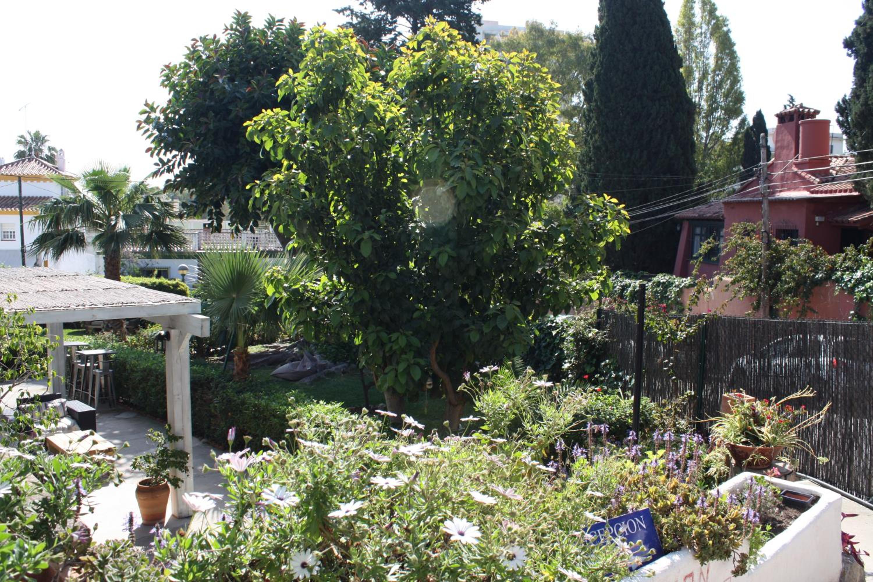 Hostal Boutique Los Geranios del Pinar