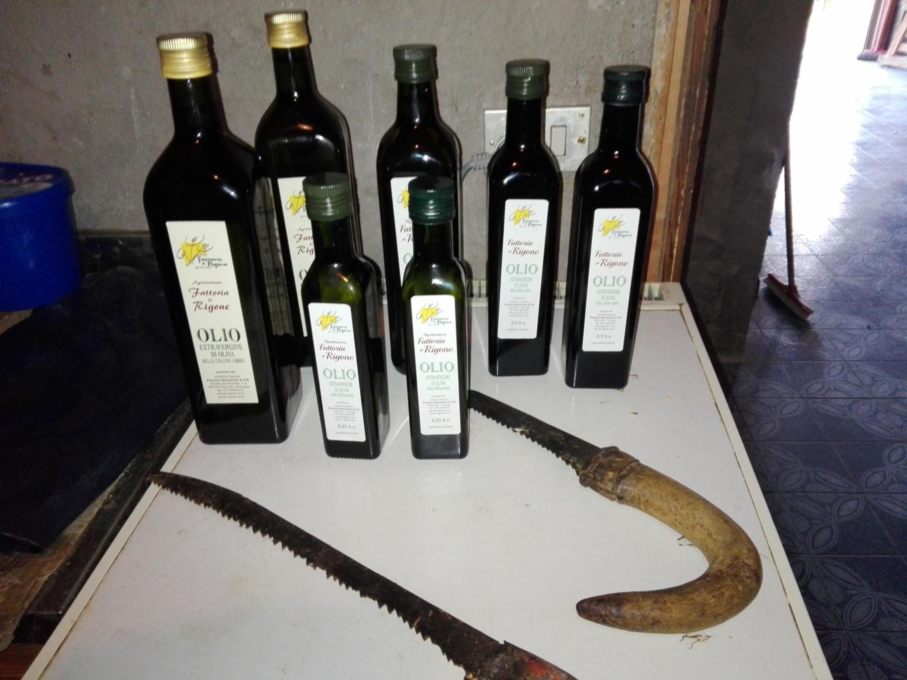 Fattoria di Rigone