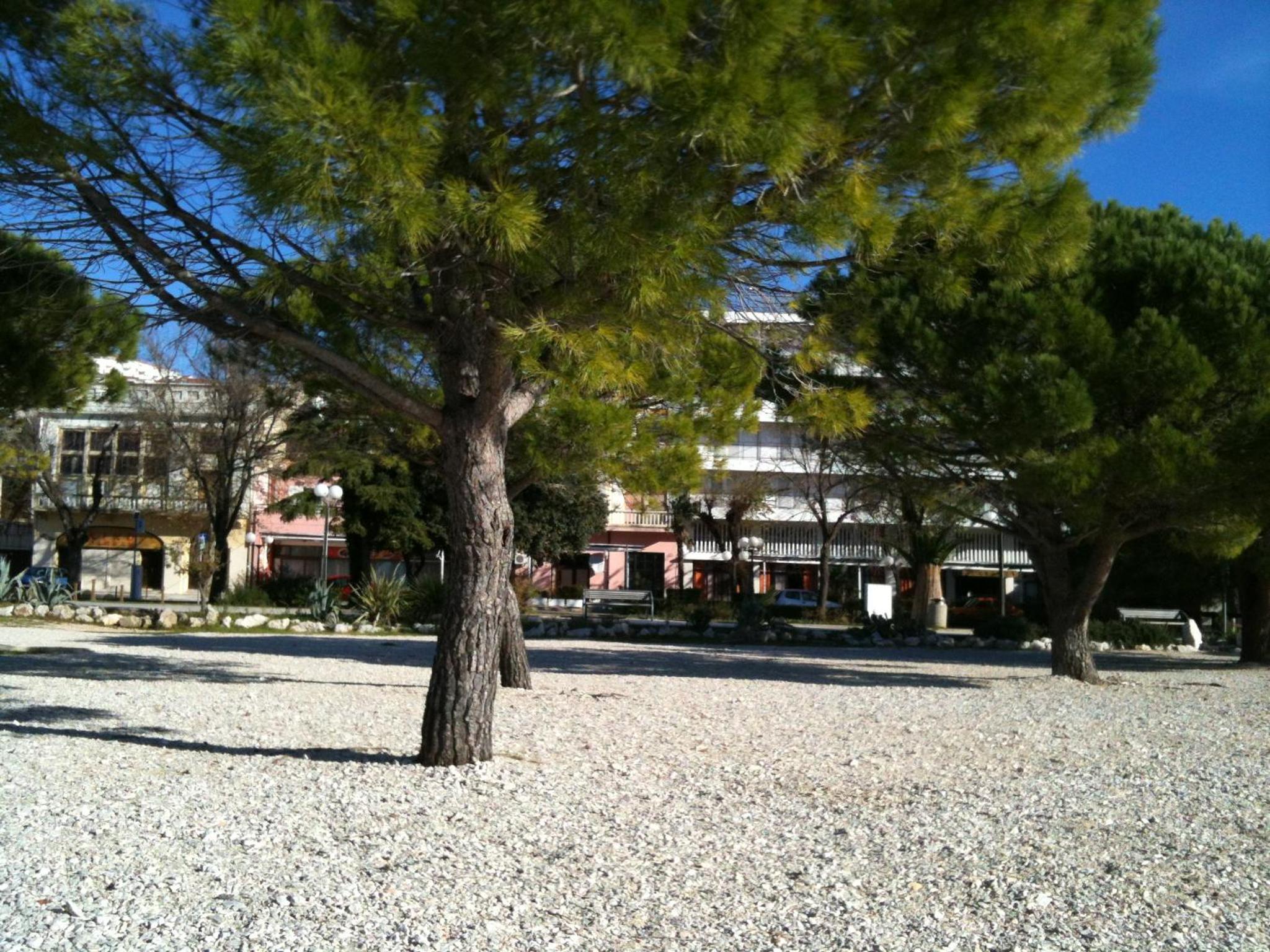 Photo 57
