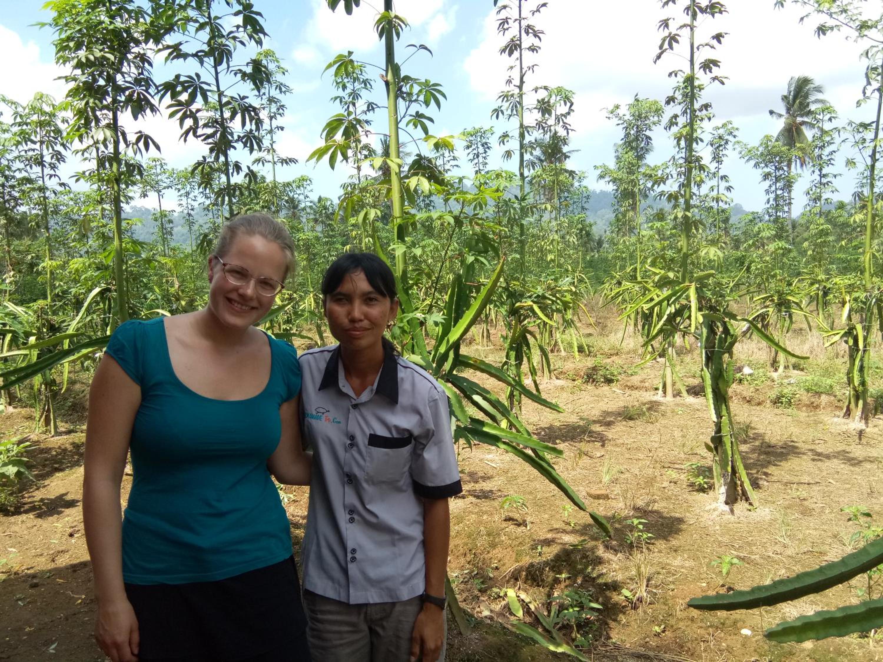 Adventure Turtle Homestay Meru Betiri