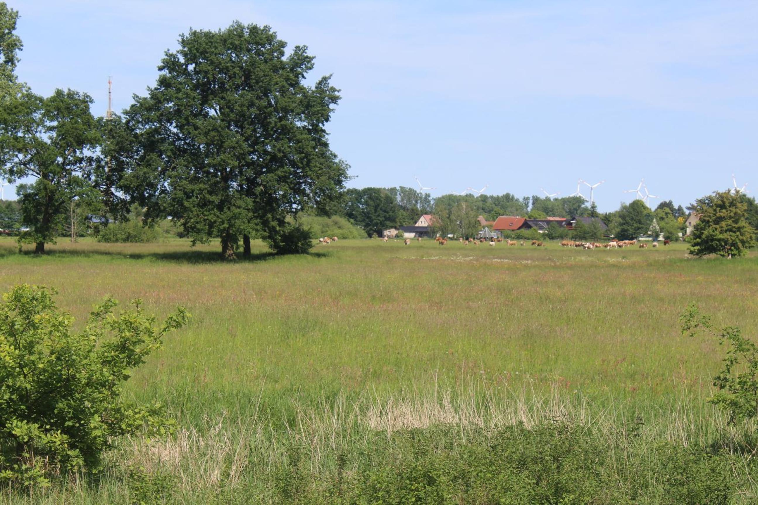 Spreewald Ferienwohnung Lübben