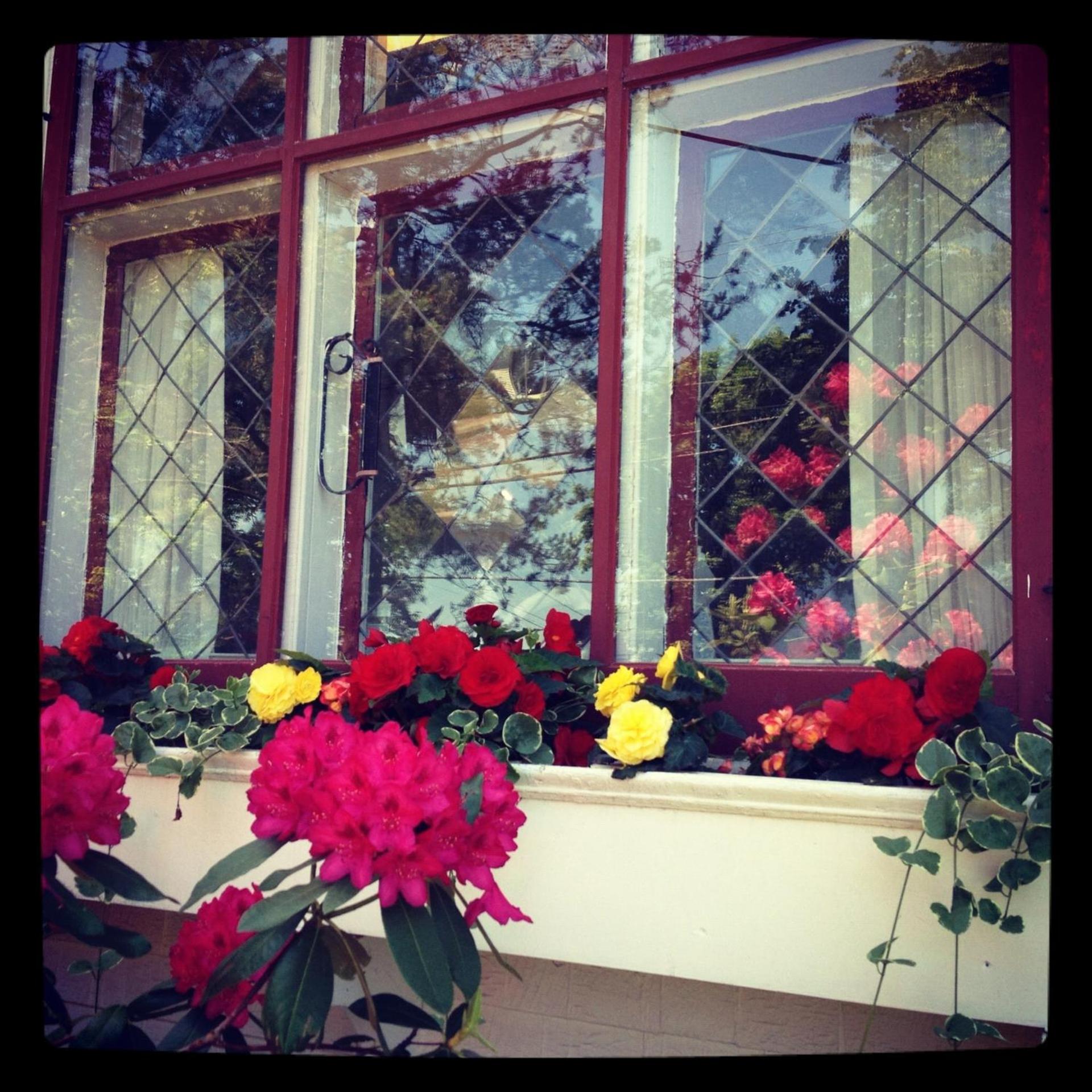 Belgravia B&B