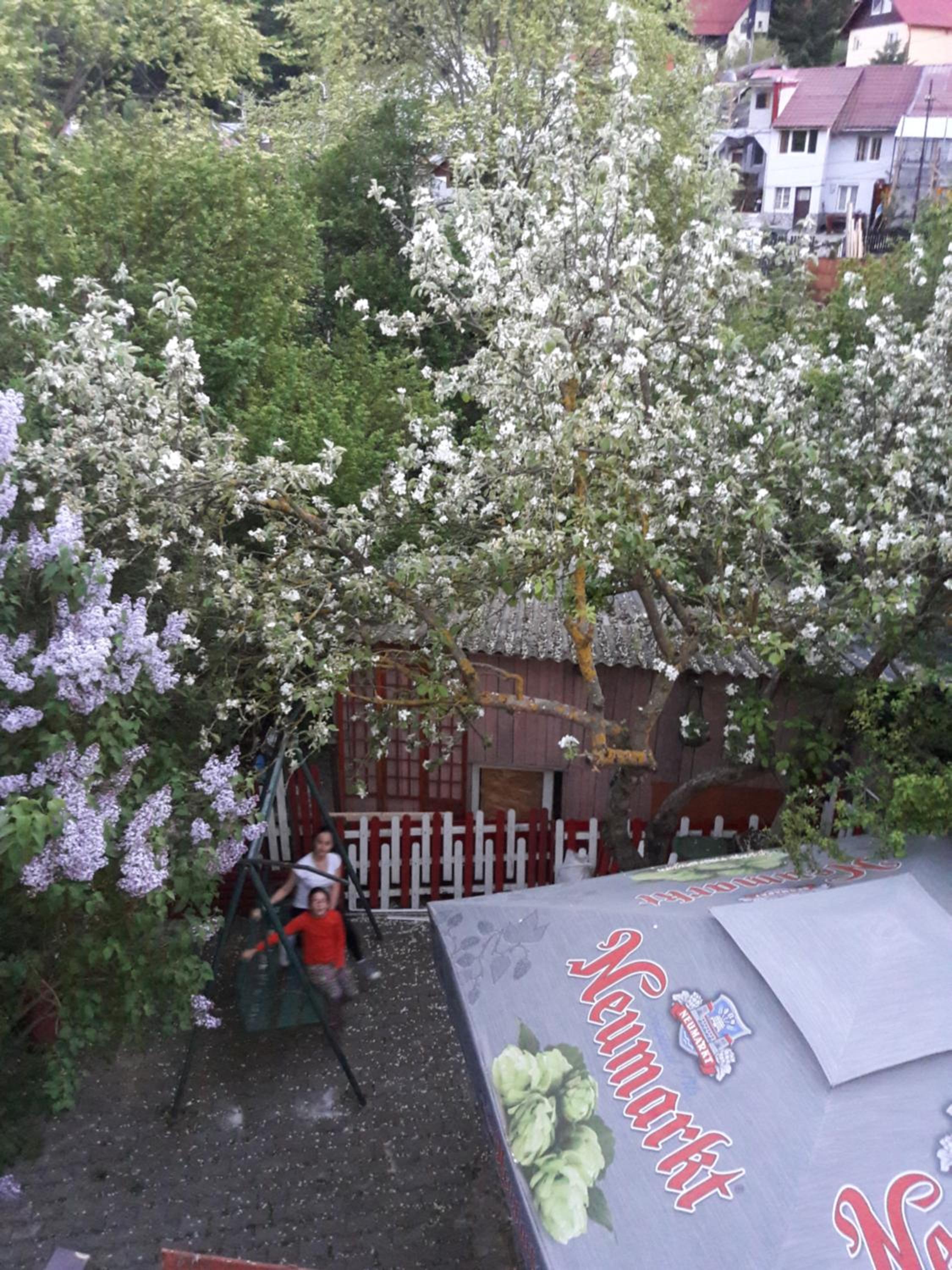Photo 22