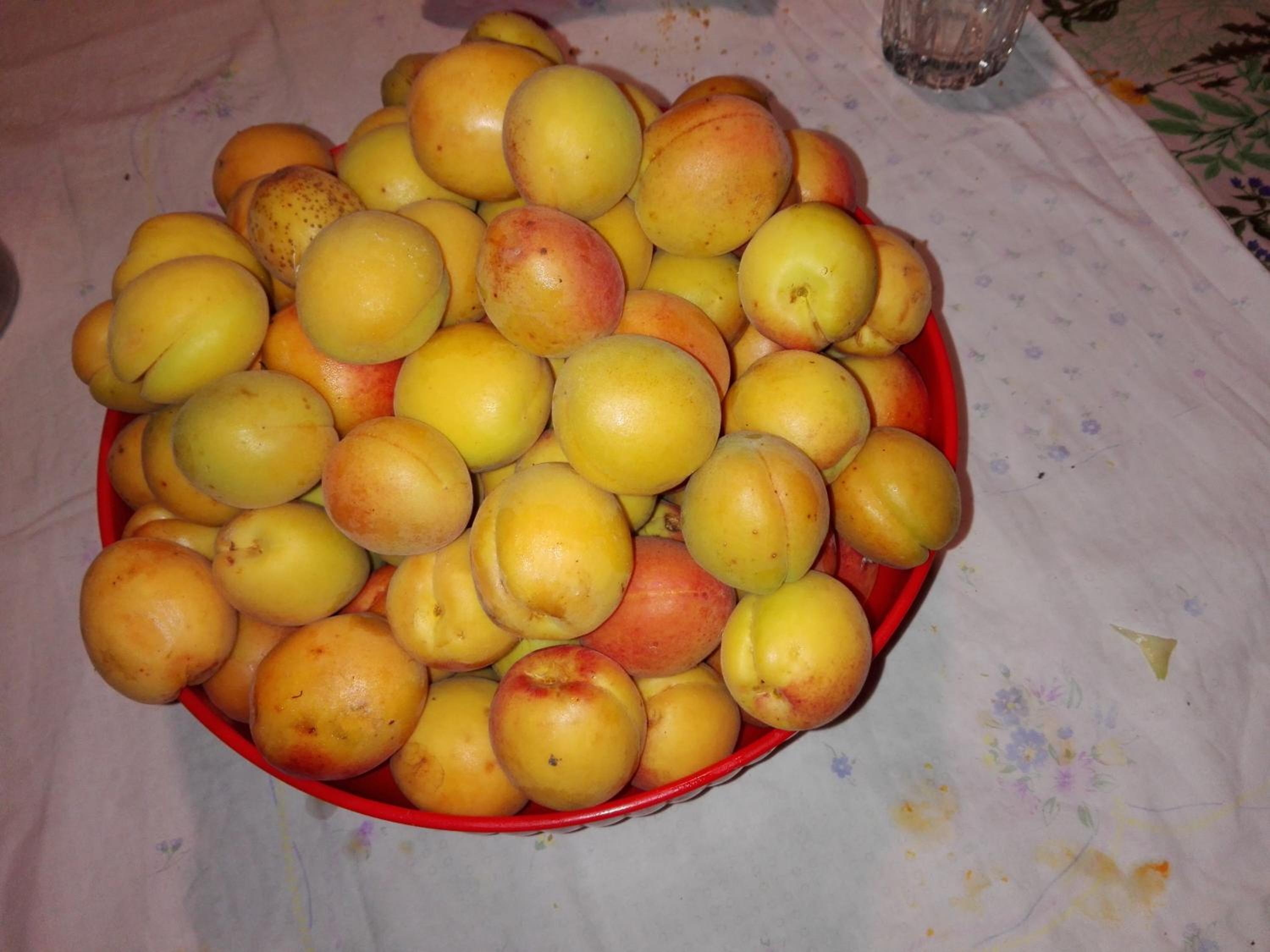 Fattoria di Rigone