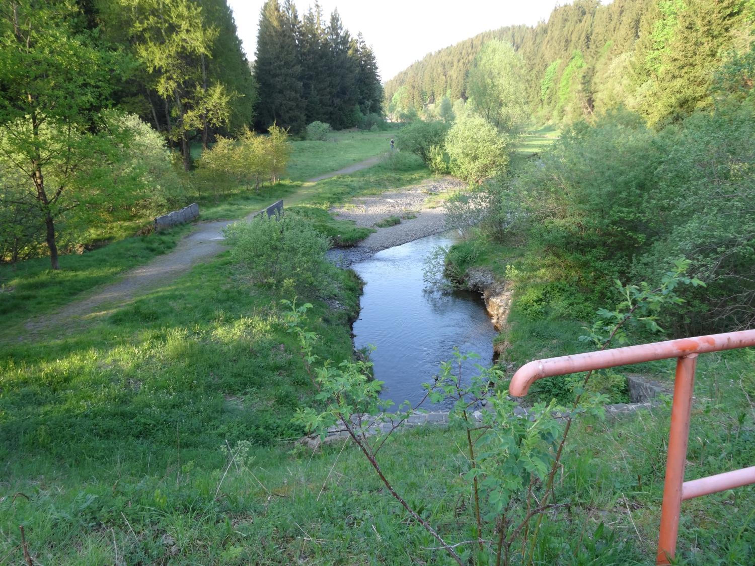 Photo 12