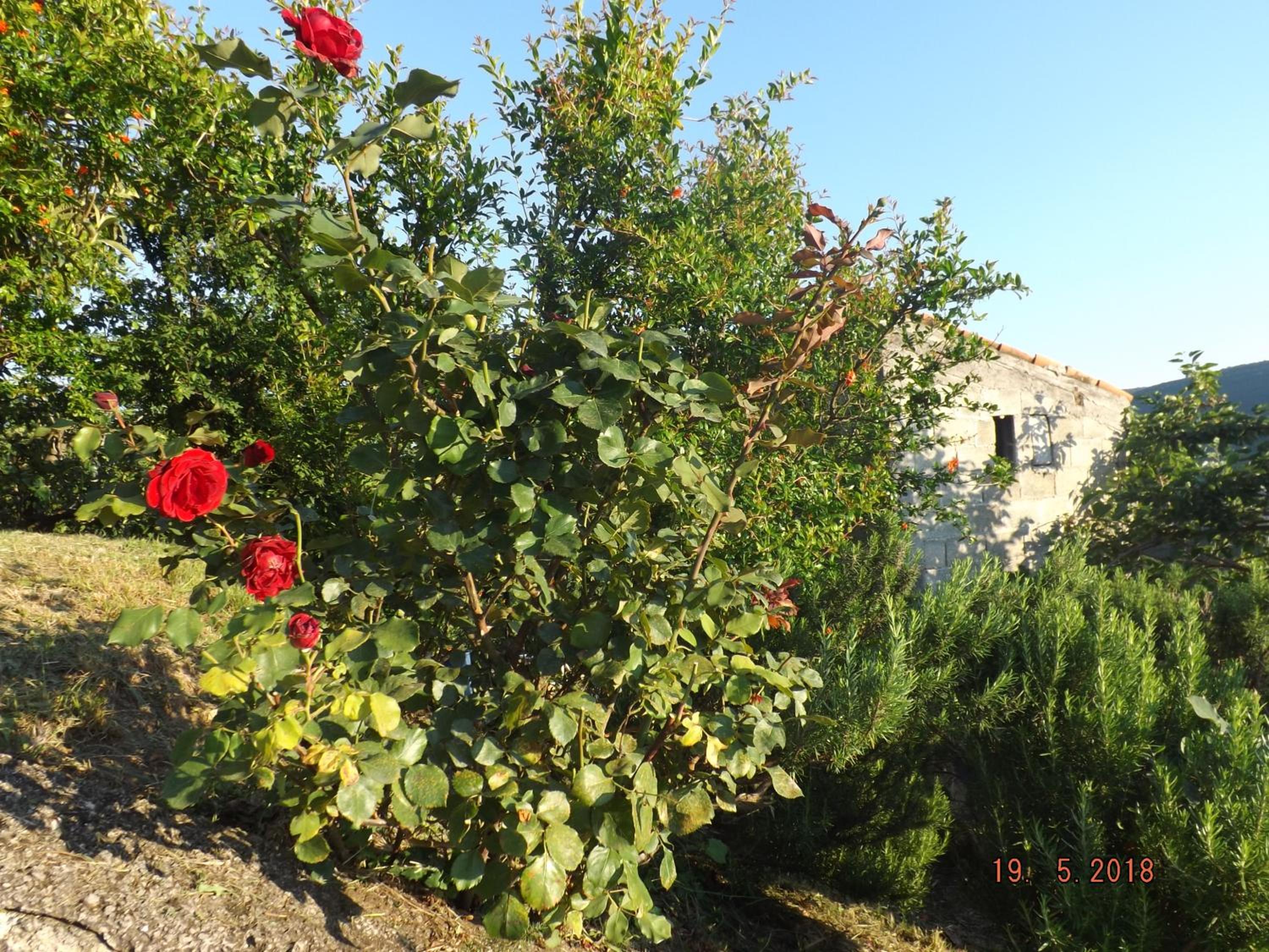 Photo 22
