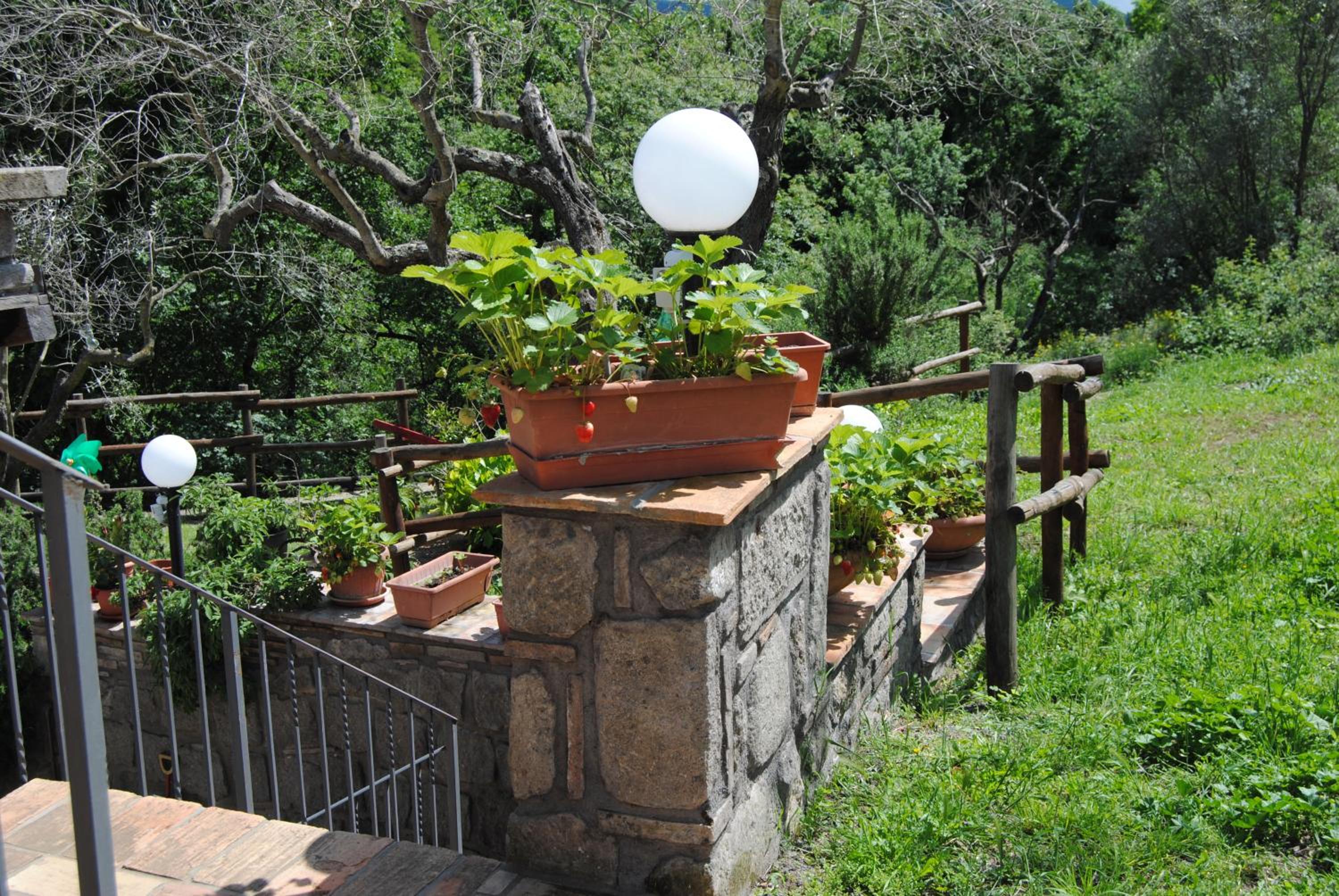 Photo 8