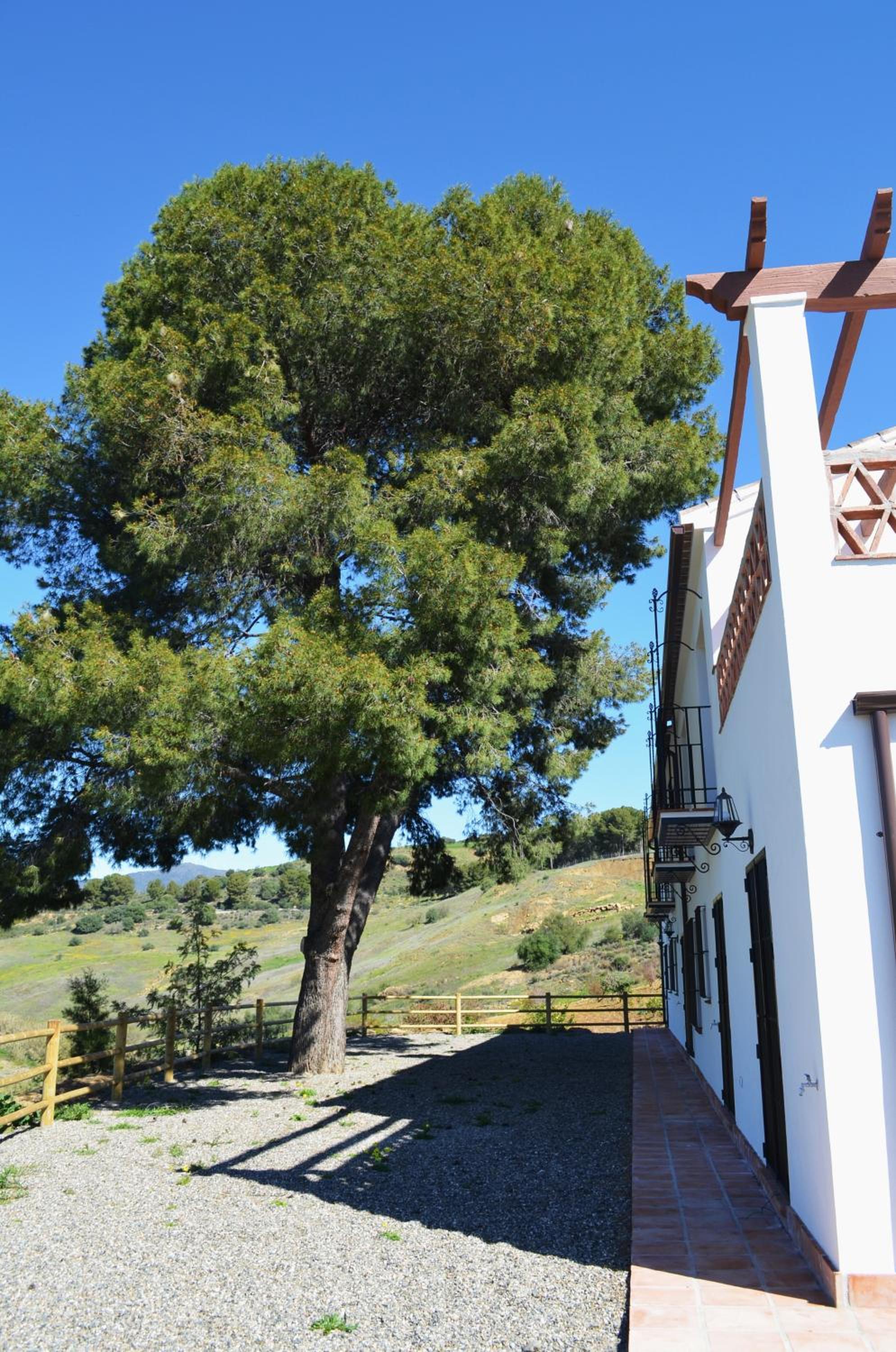 Casa del Pino by Rosas Cantares photo 4