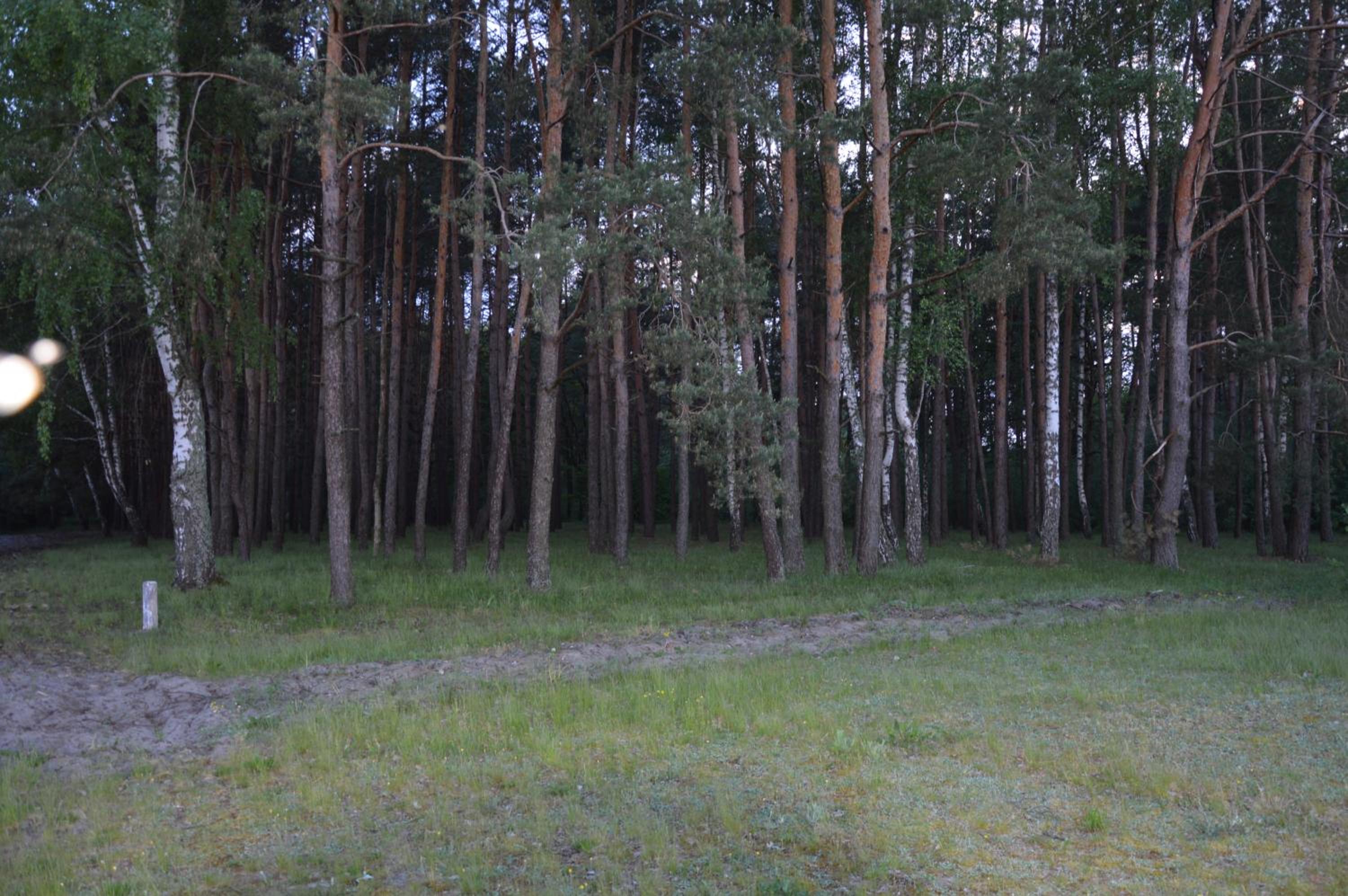 Pulemchanka
