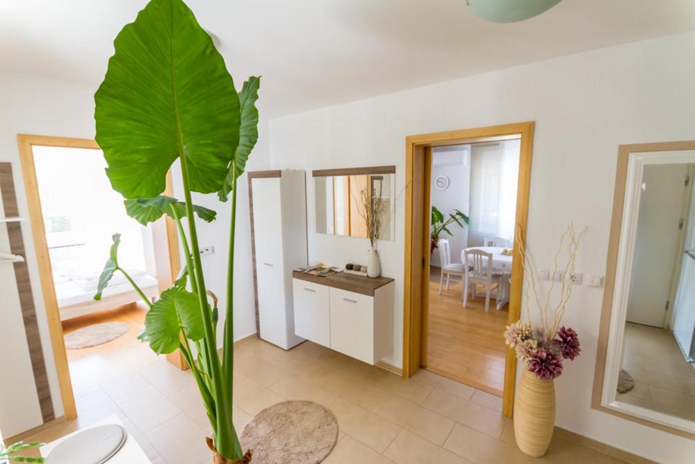 Apartma view 4